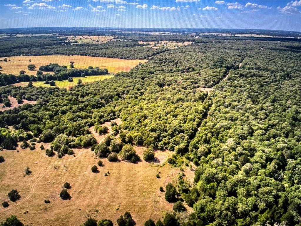 TBD CR 411 County Rd # 411, Lexington, TX 78947