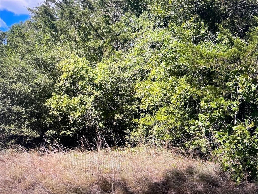 TBD CR 411 County Rd # 411, Lexington, TX 78947