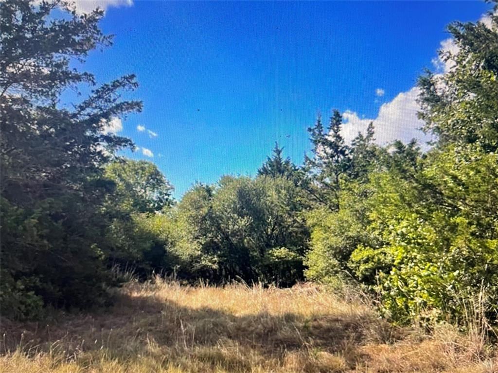TBD CR 411 County Rd # 411, Lexington, TX 78947