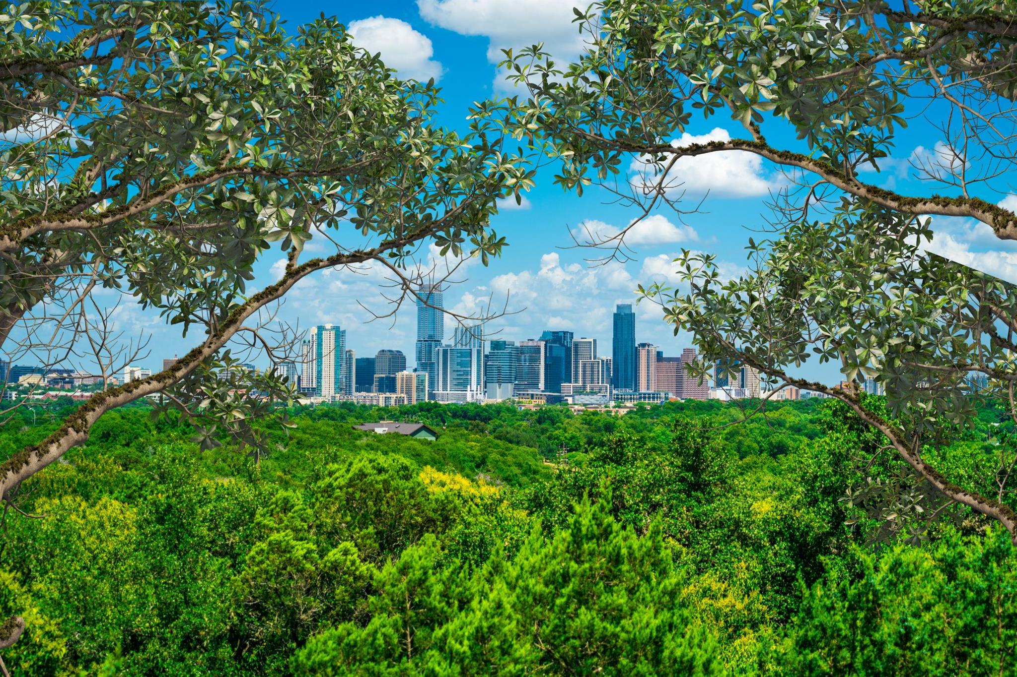 1901 Cresthaven Dr, Austin, TX 78704