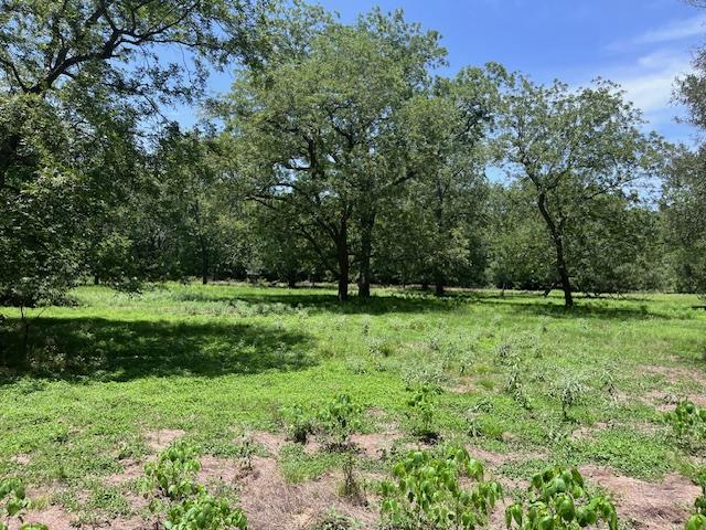 344 & 343 Bateman Rd, Red Rock, TX 78662