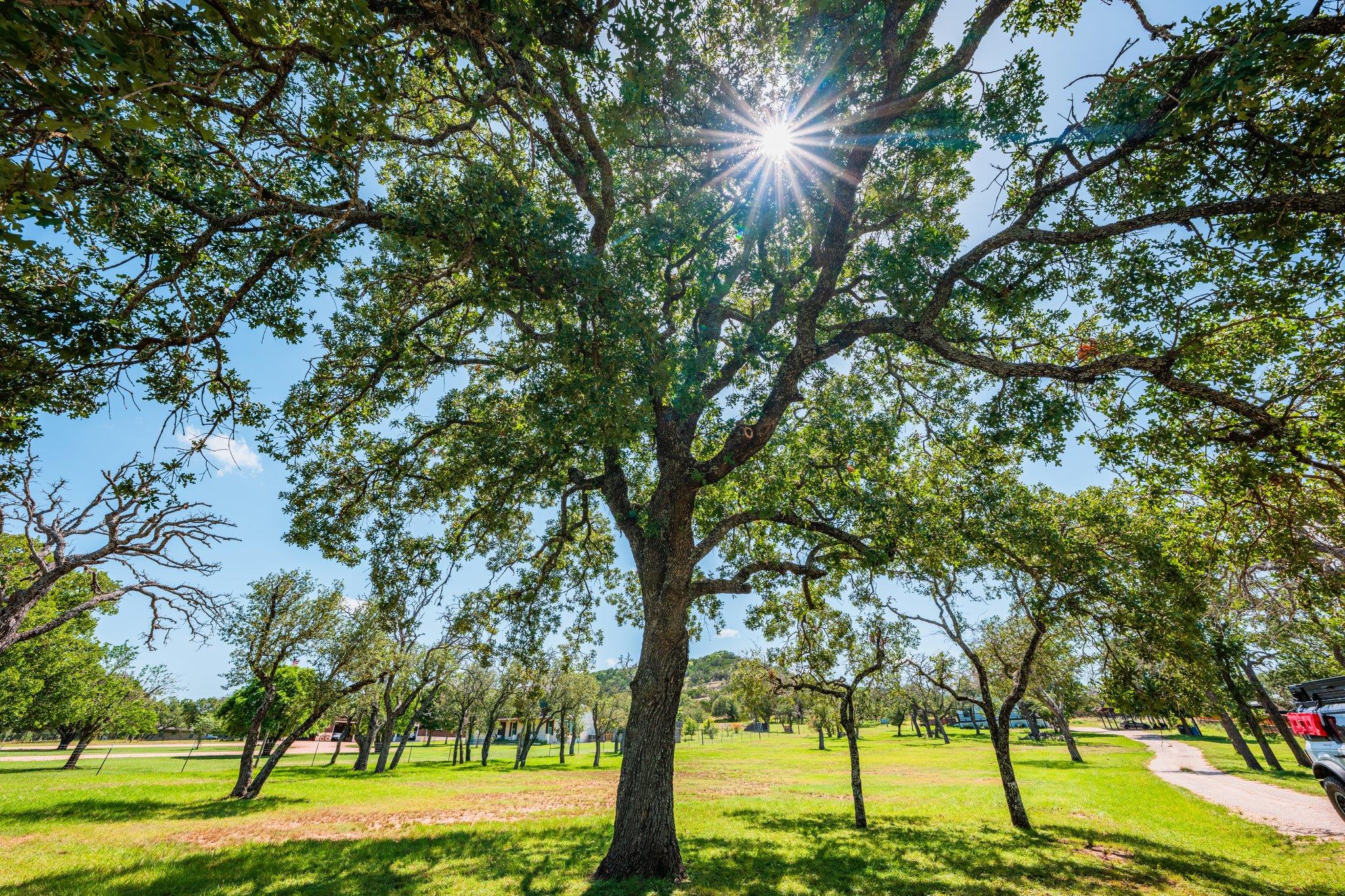 362 Oak Haven Rd, Fredericksburg, TX 78624