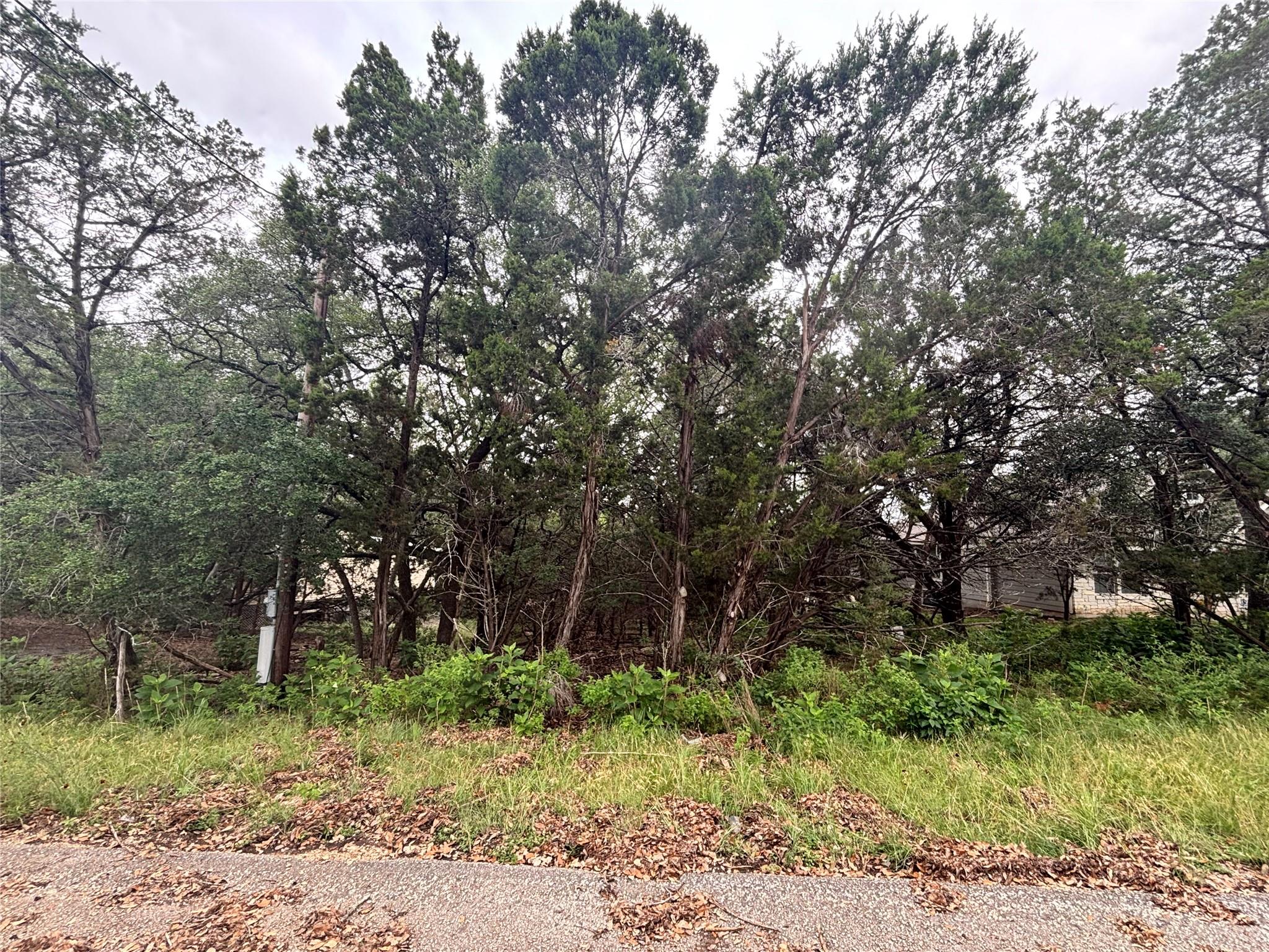 1684 Westview Court Dr, Canyon Lake, TX 78133