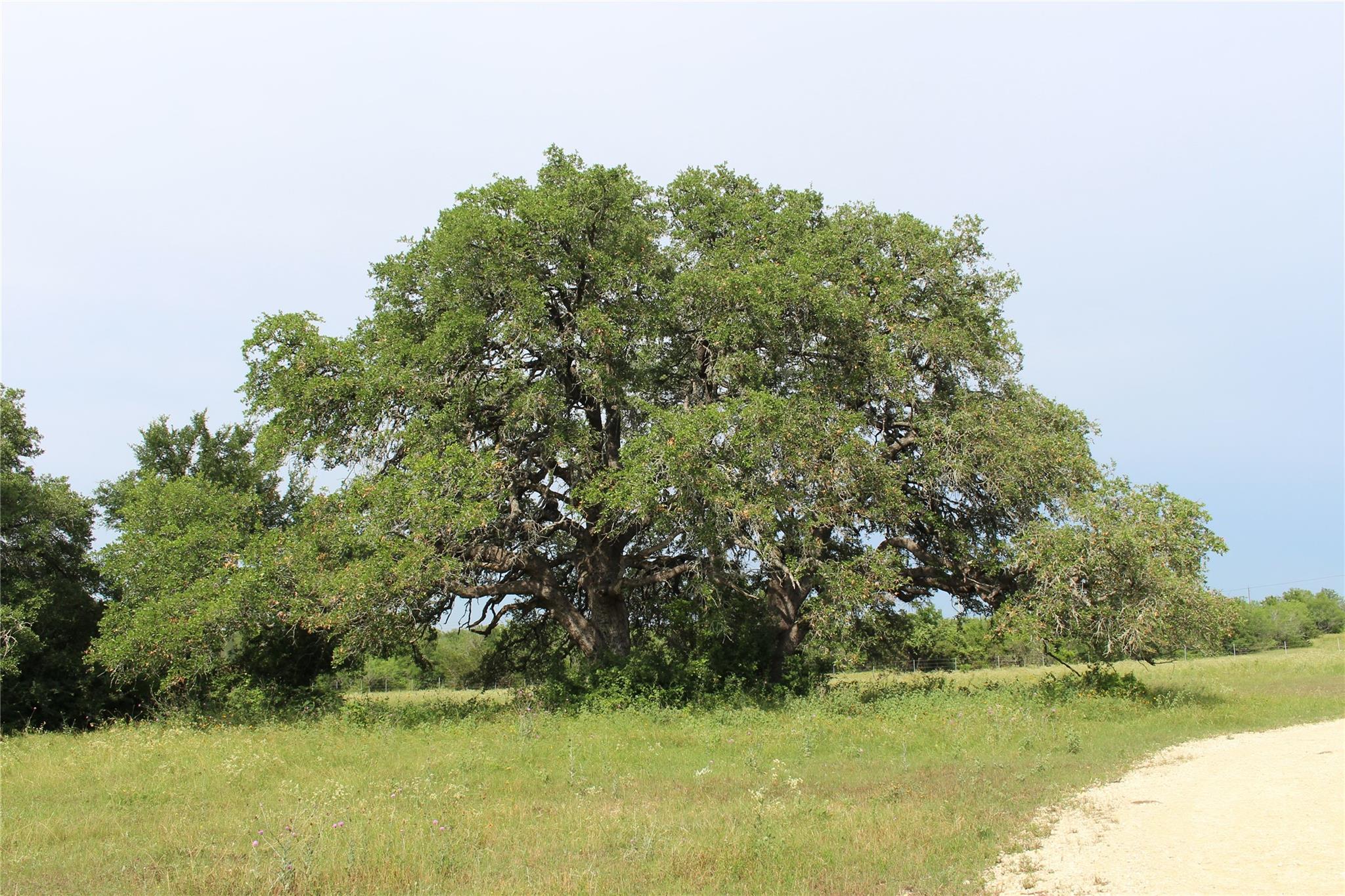 4188 FM 20, Seguin, TX 78155