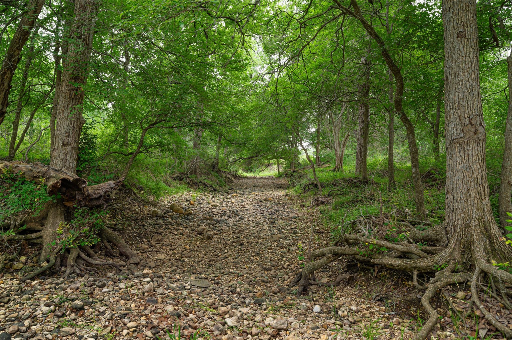 4188 FM 20, Seguin, TX 78155