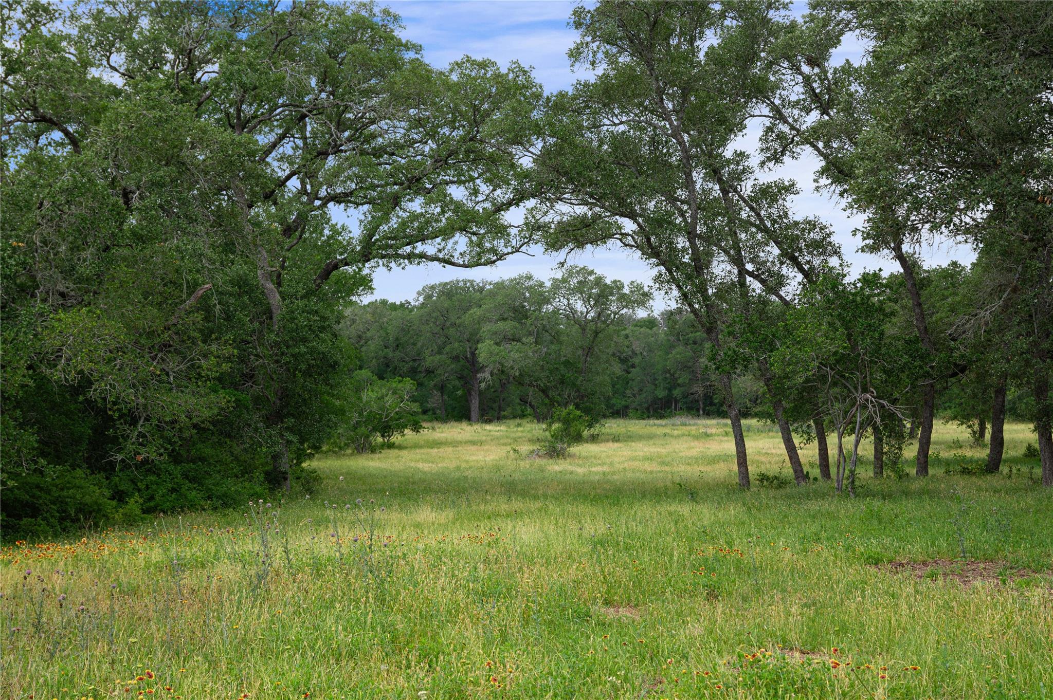 4188 FM 20, Seguin, TX 78155