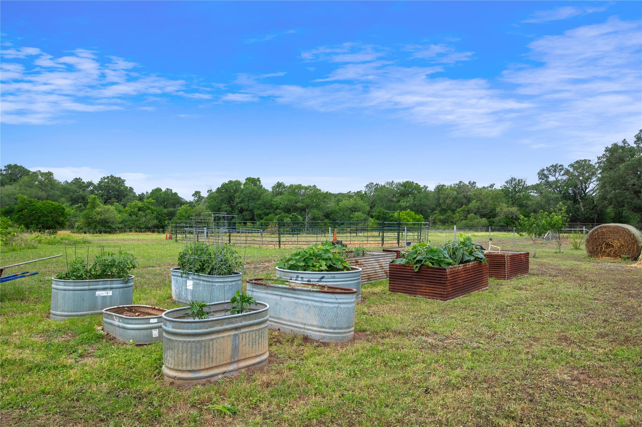 4188 FM 20, Seguin, TX 78155