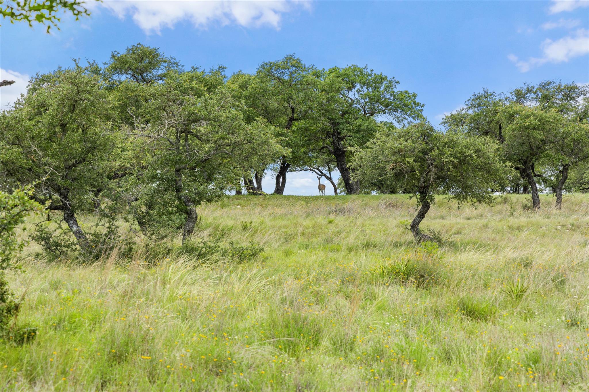 1087 (Lot 49) Stone Ridge Mountain Dr, Round Mountain, TX 78663