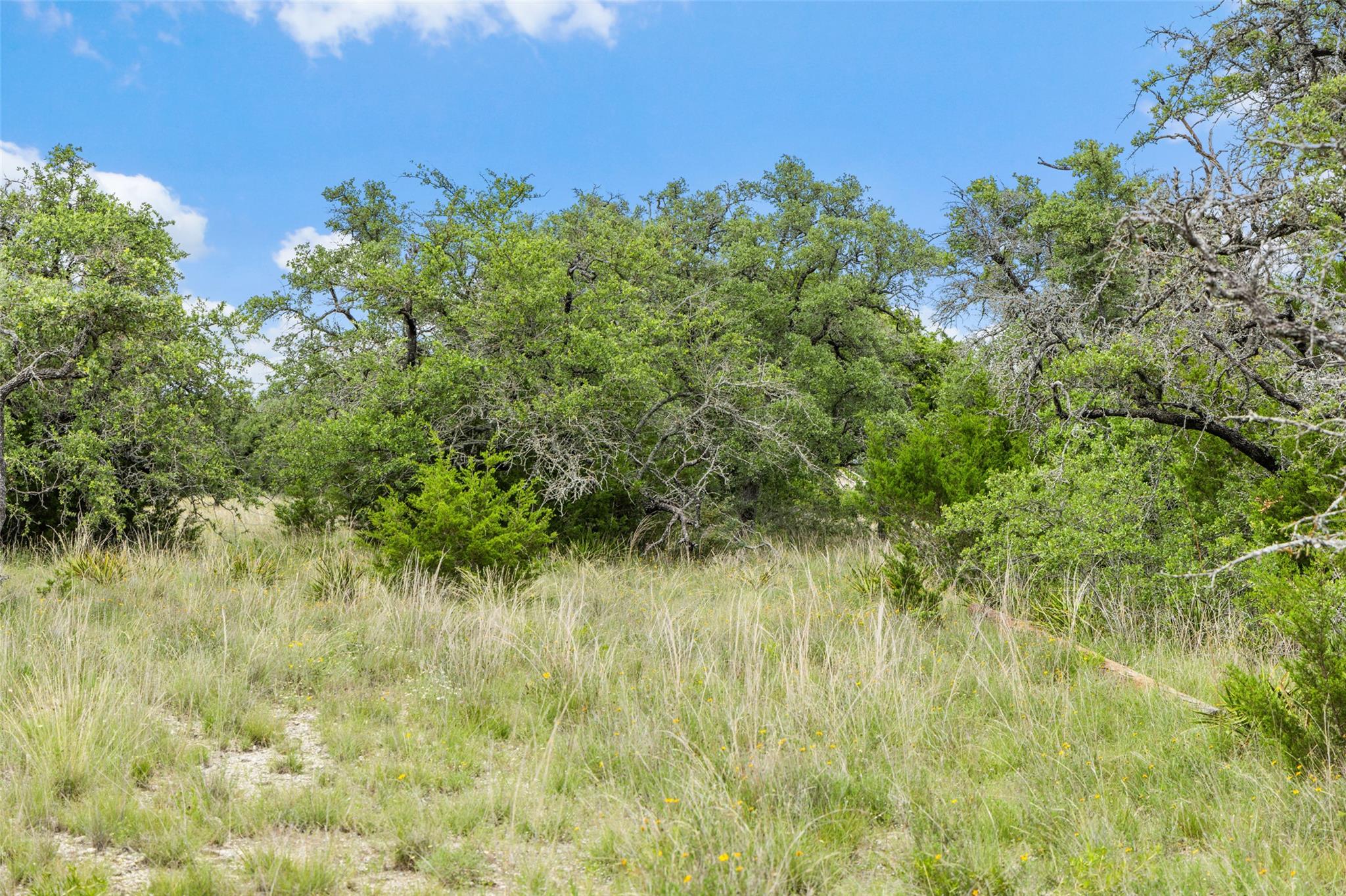 1087 (Lot 49) Stone Ridge Mountain Dr, Round Mountain, TX 78663