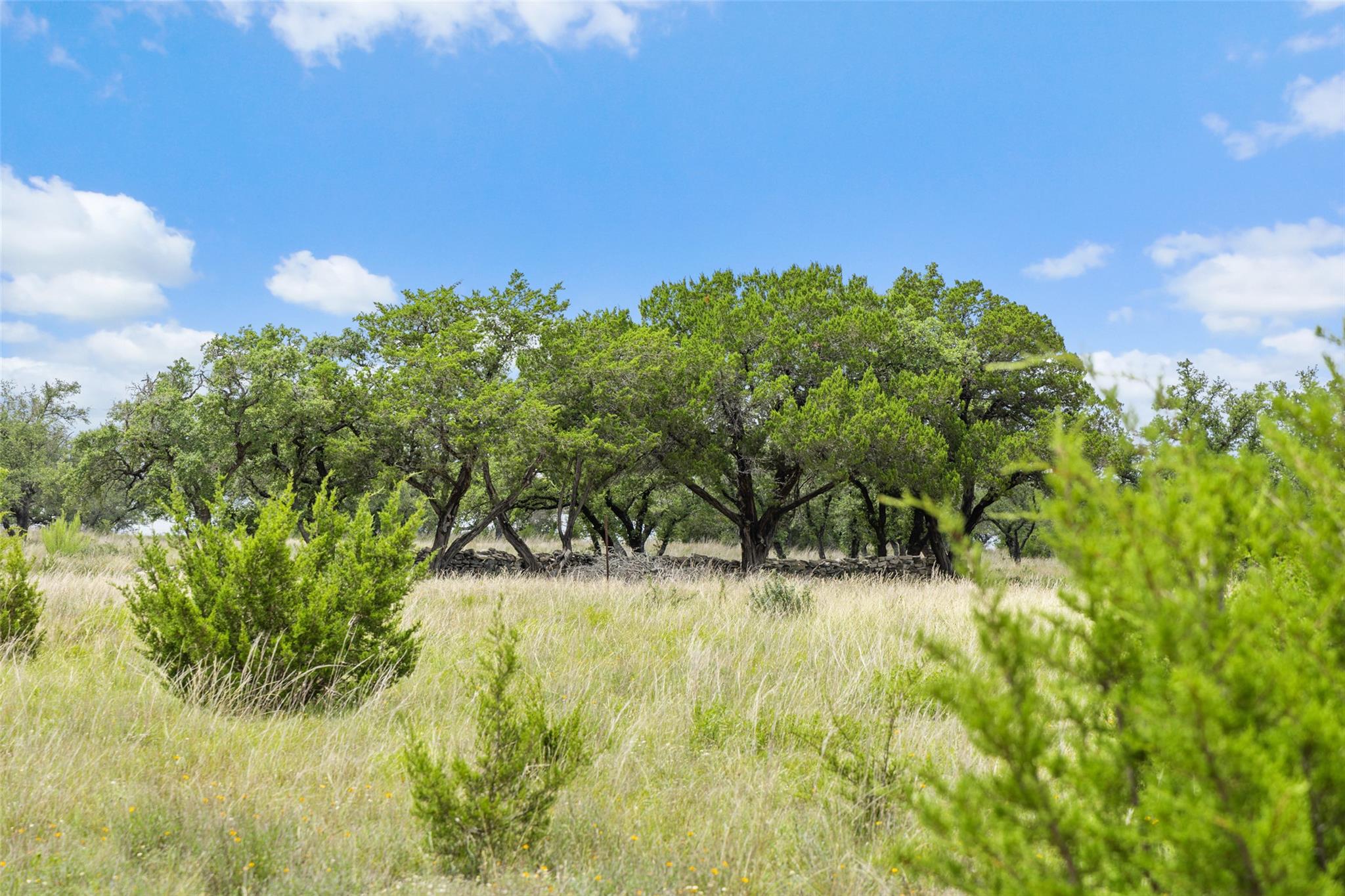 1087 (Lot 49) Stone Ridge Mountain Dr, Round Mountain, TX 78663