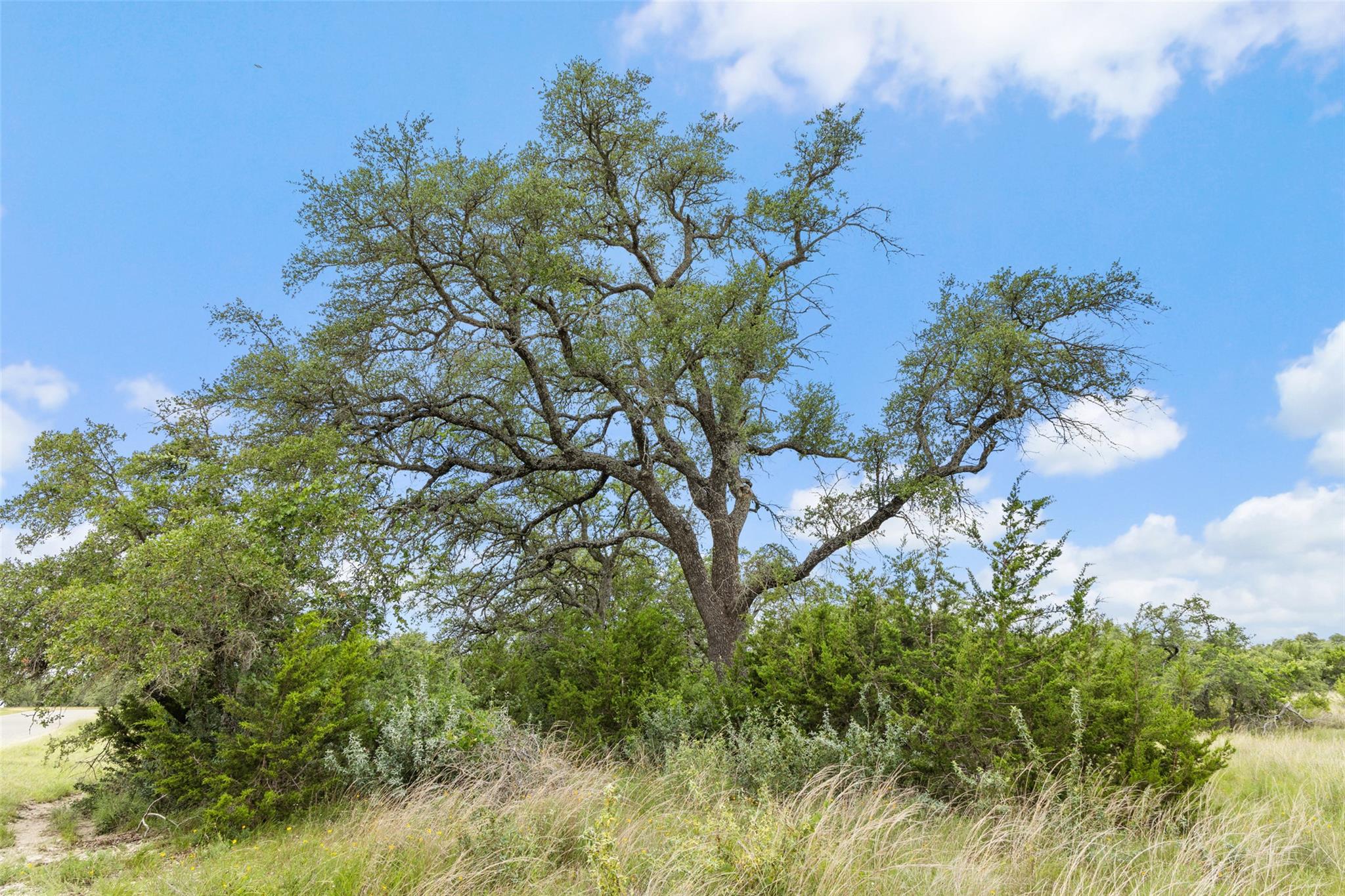 1087 (Lot 49) Stone Ridge Mountain Dr, Round Mountain, TX 78663