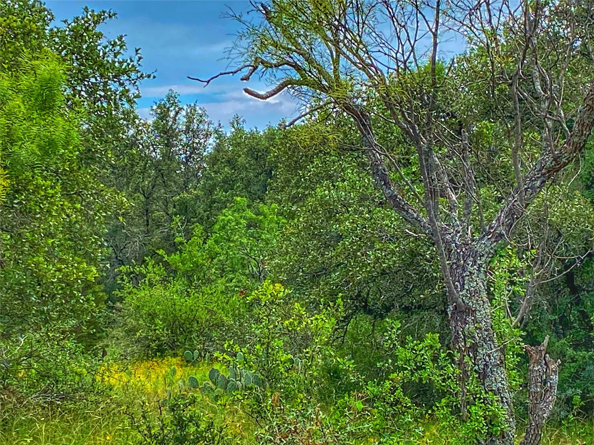 0000 CR 436, Rochelle, TX 76872