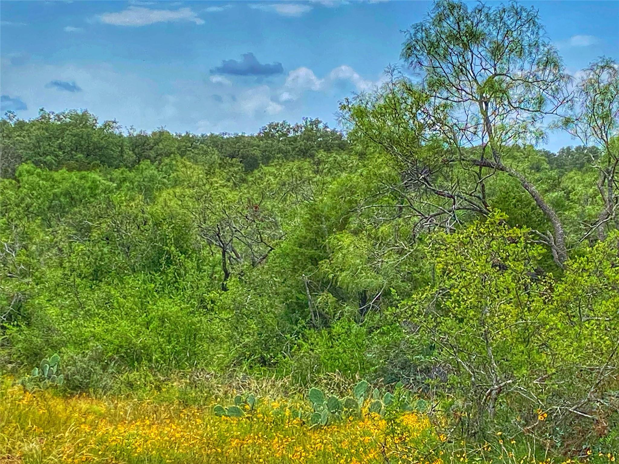 0000 CR 436, Rochelle, TX 76872