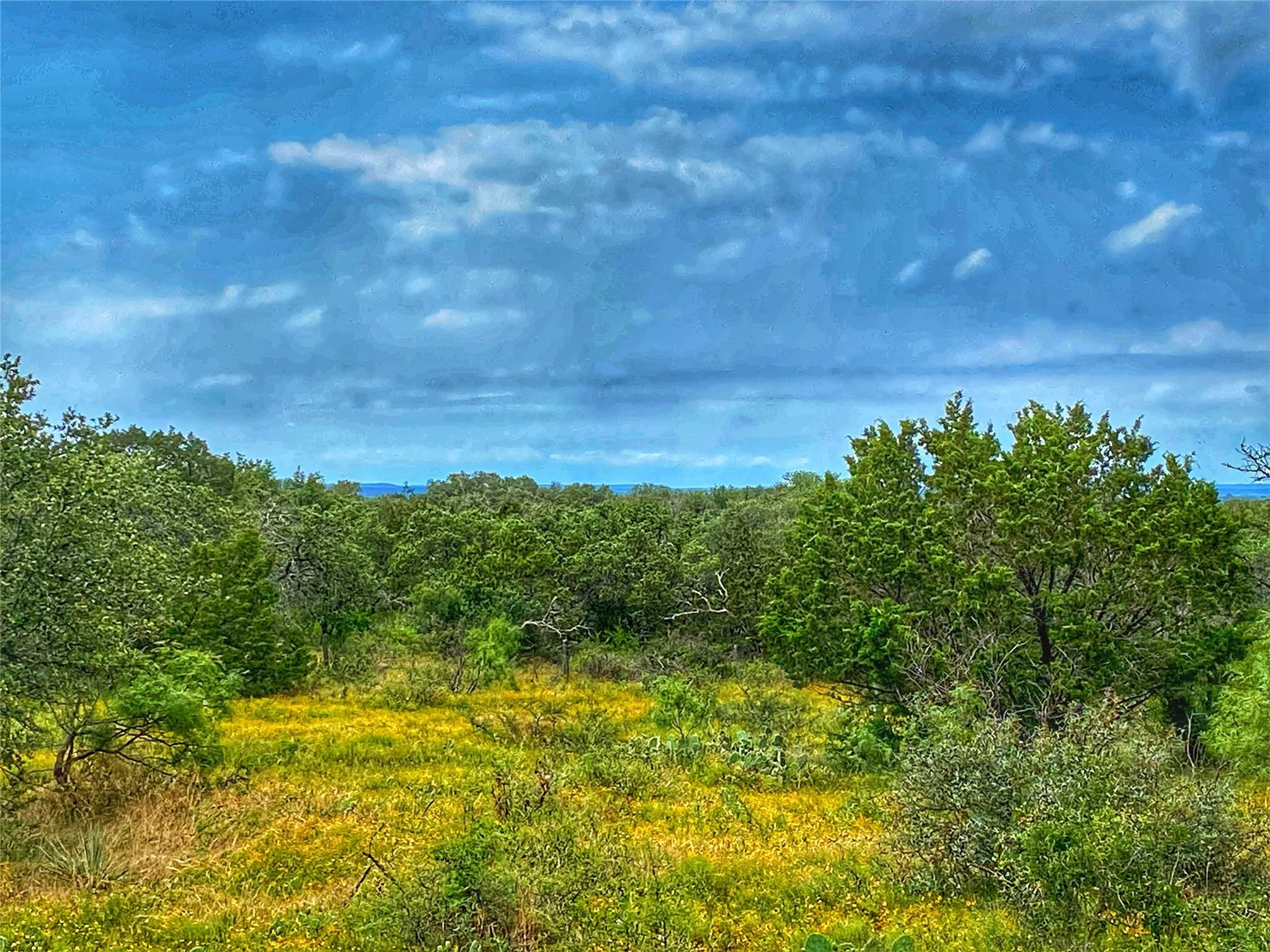 0000 CR 436, Rochelle, TX 76872