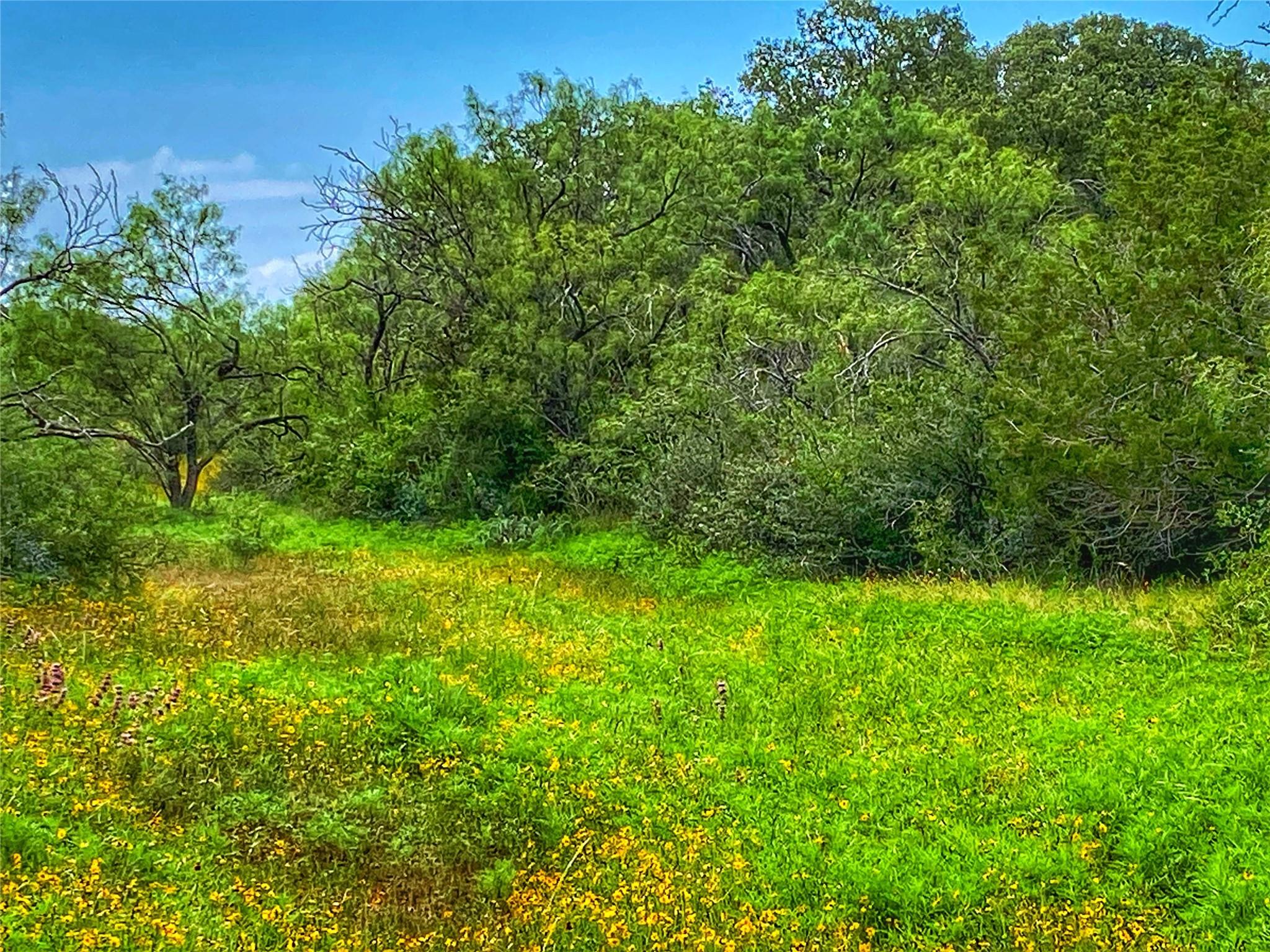 0000 CR 436, Rochelle, TX 76872