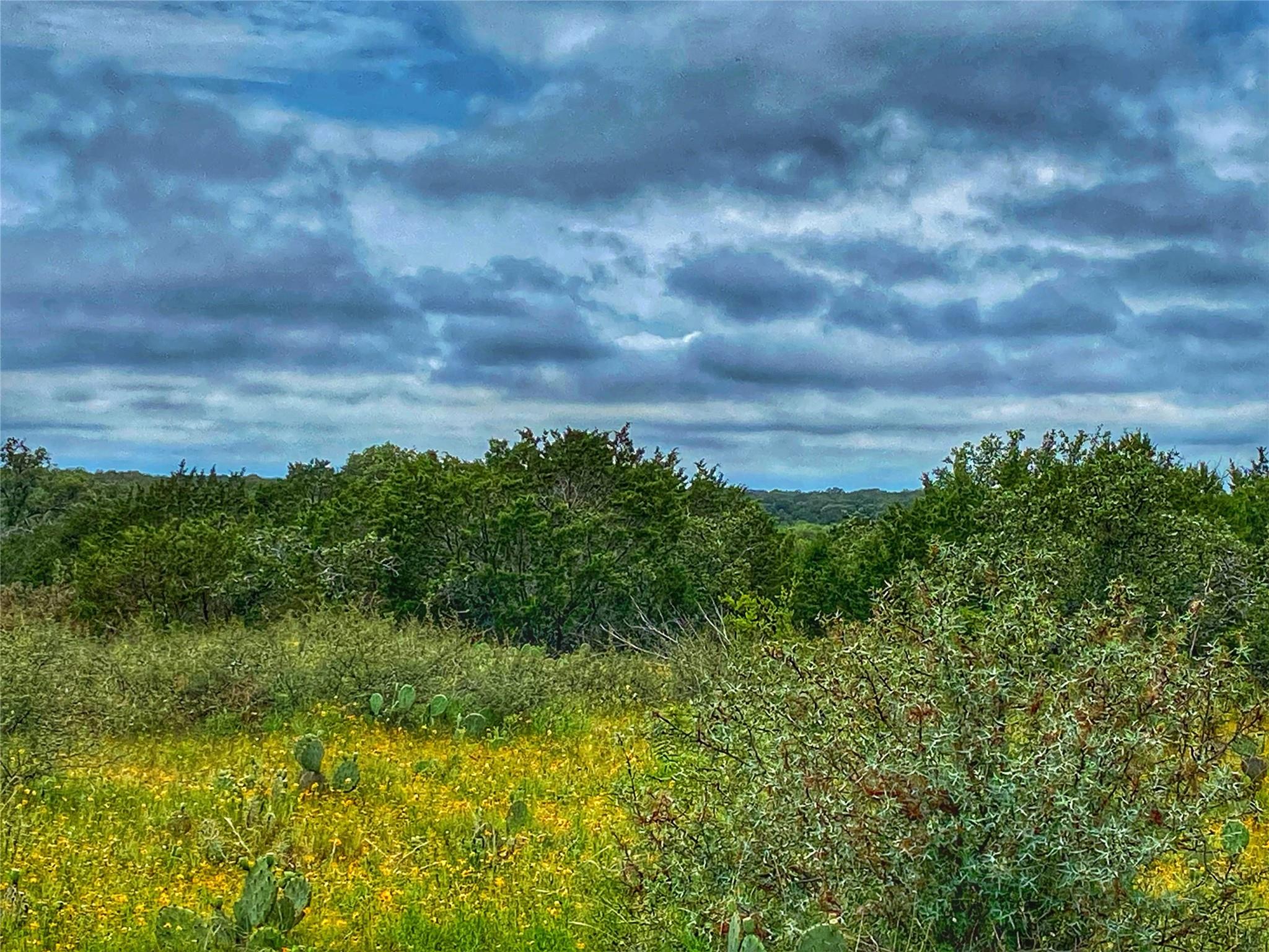 0000 CR 436, Rochelle, TX 76872