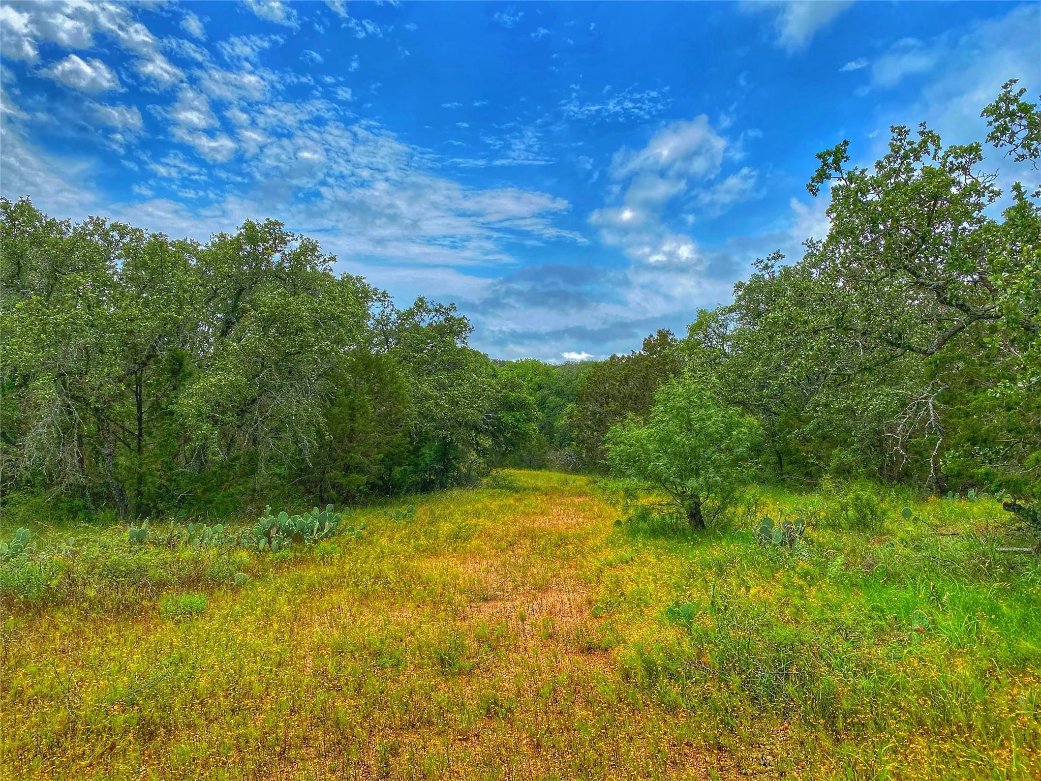 0000 CR 436, Rochelle, TX 76872