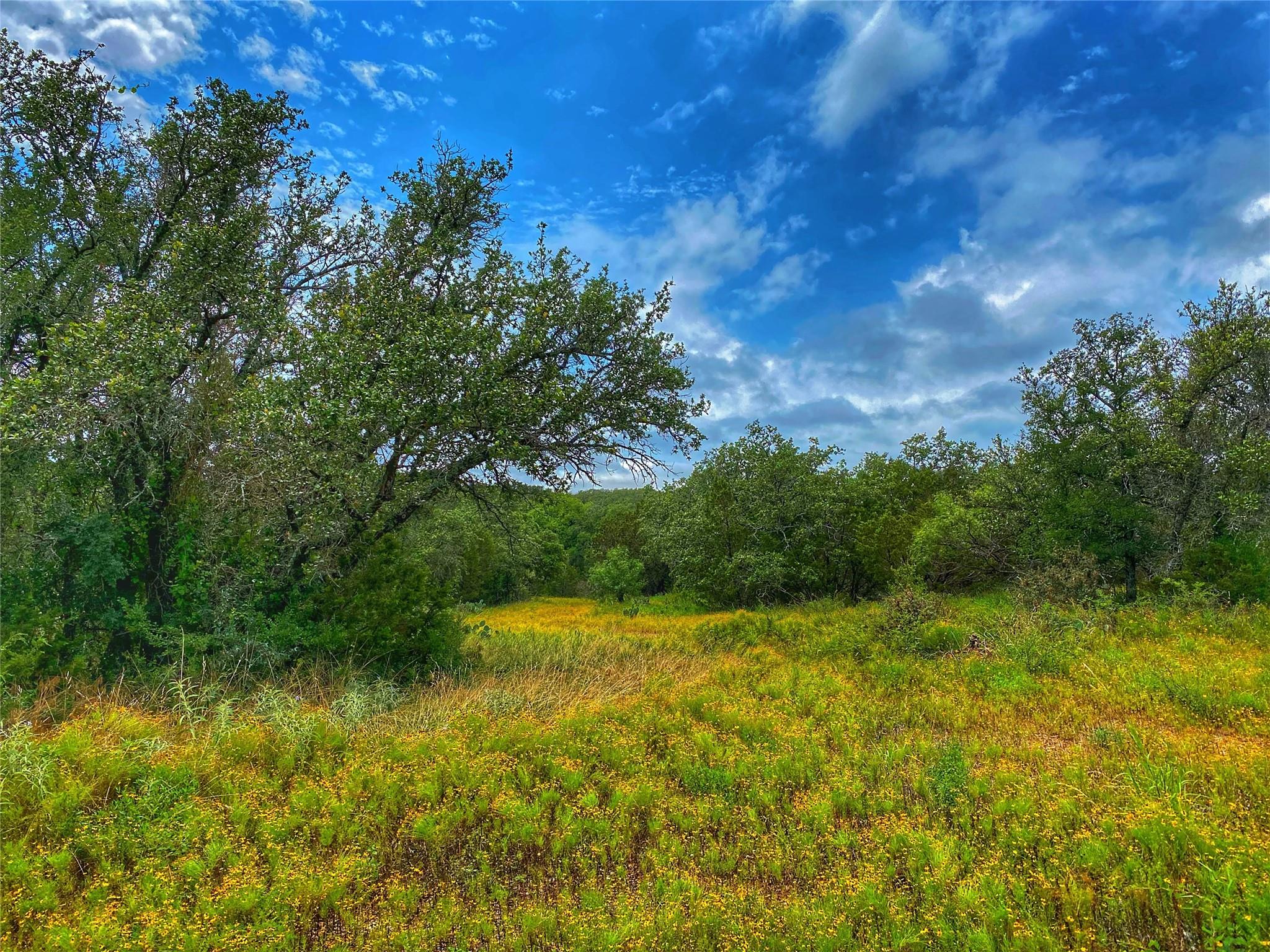 0000 CR 436, Rochelle, TX 76872