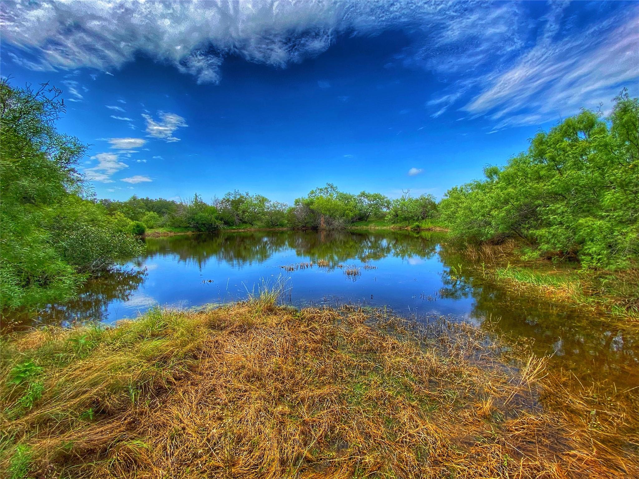 0000 CR 436, Rochelle, TX 76872