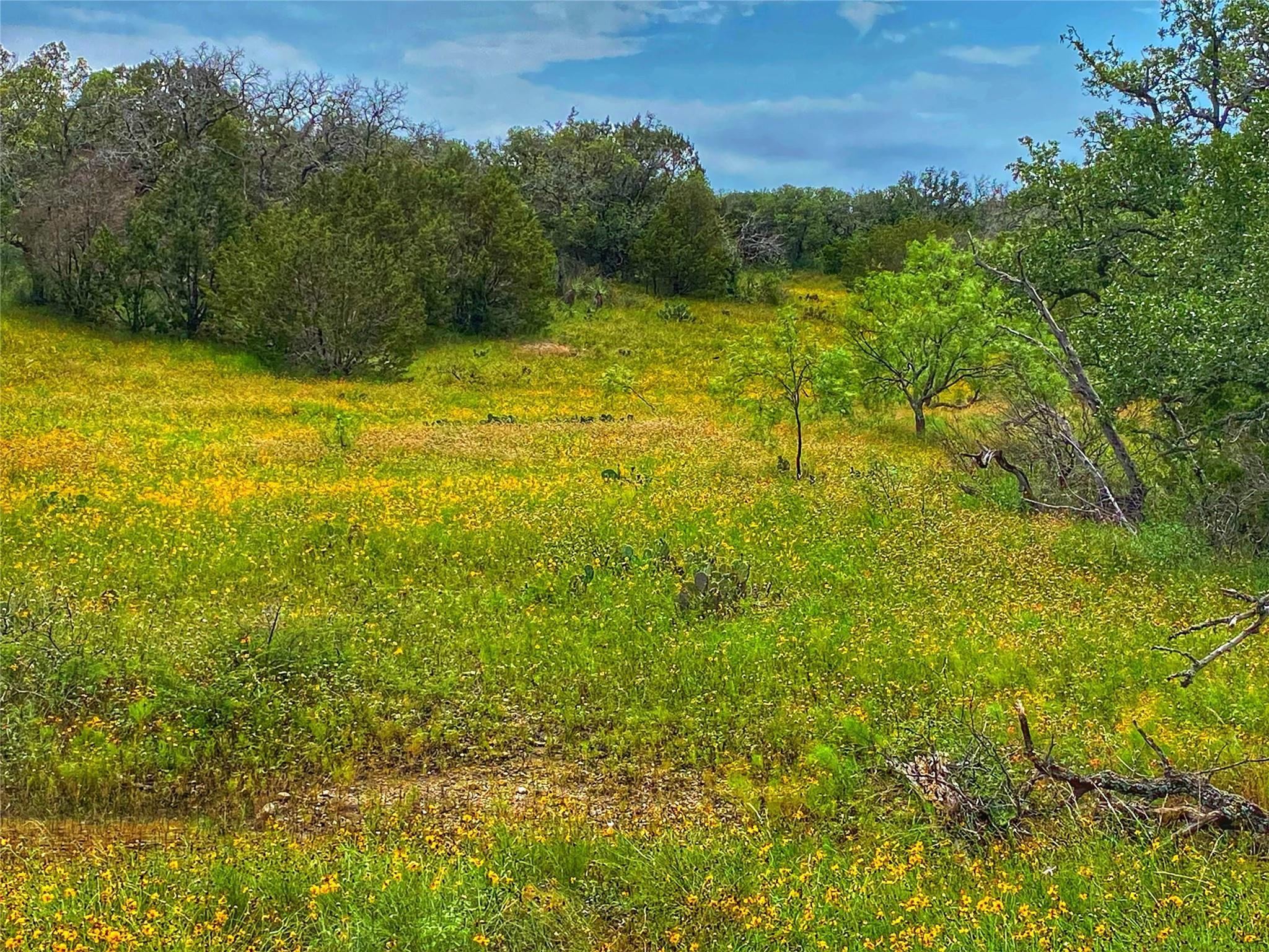 0000 CR 436, Rochelle, TX 76872