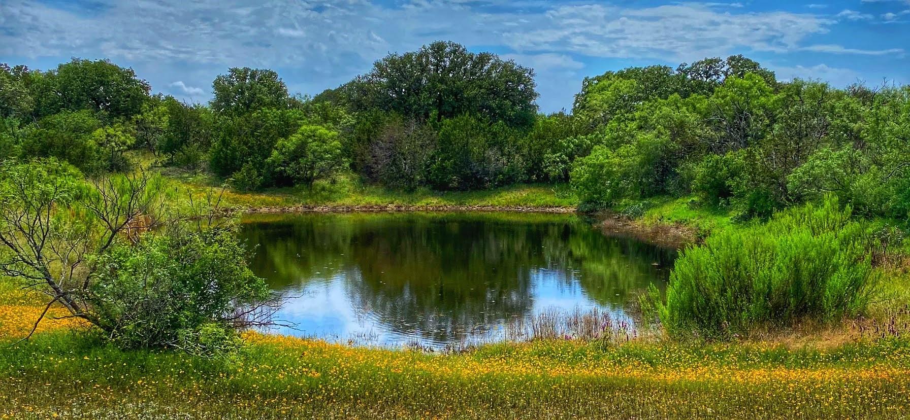 0000 CR 436, Rochelle, TX 76872