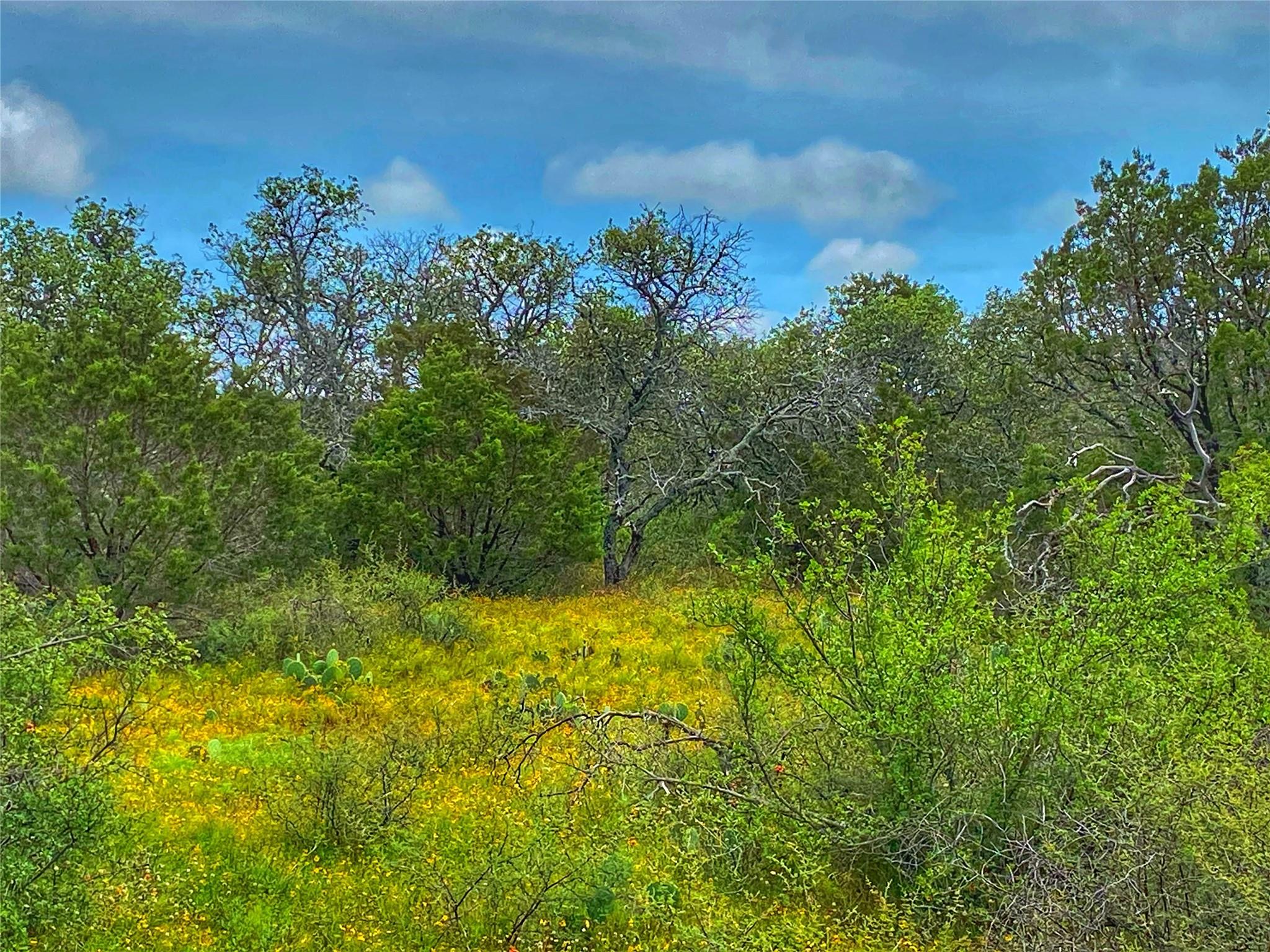 0000 CR 436, Rochelle, TX 76872