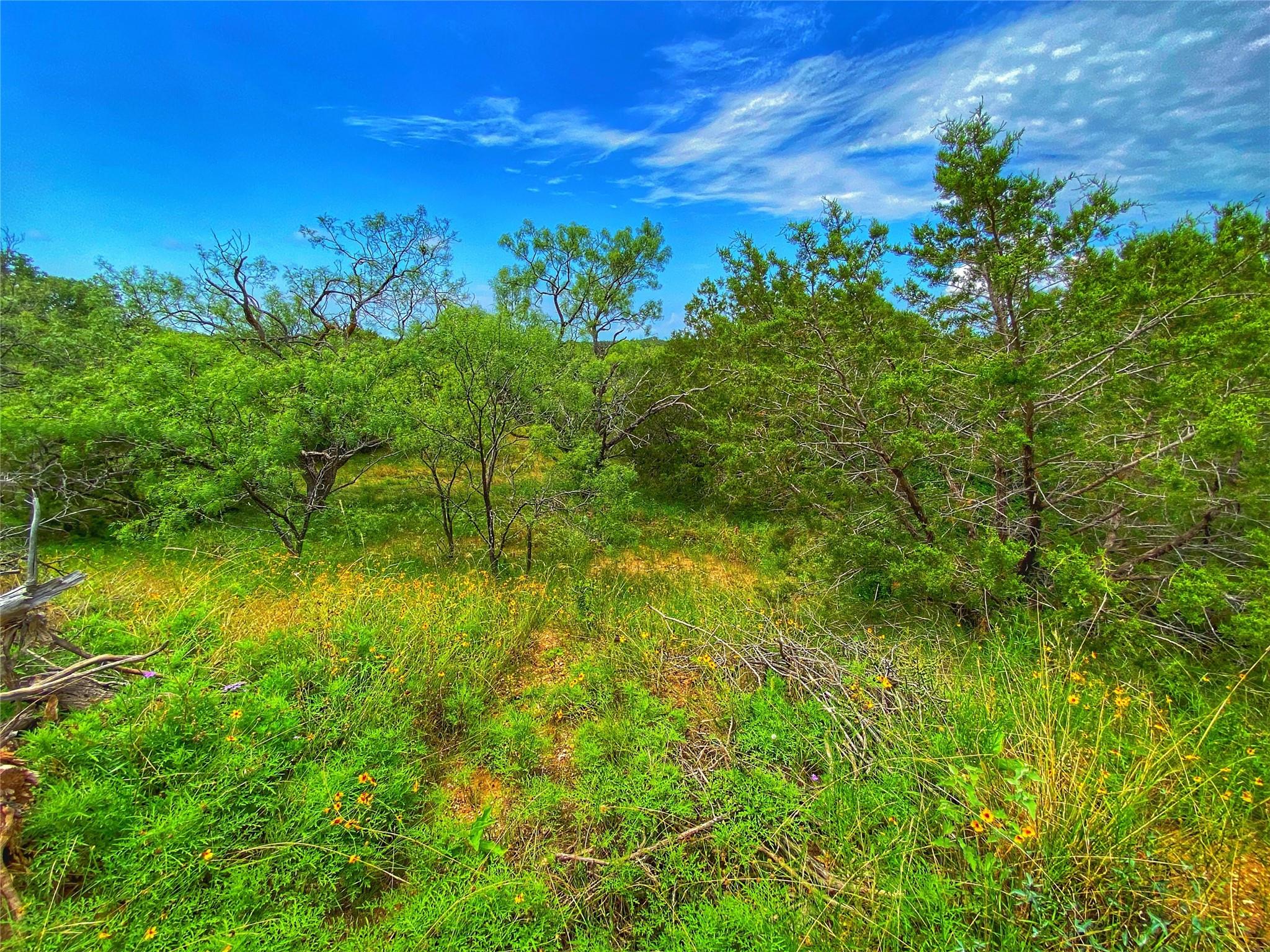 0000 CR 436, Rochelle, TX 76872