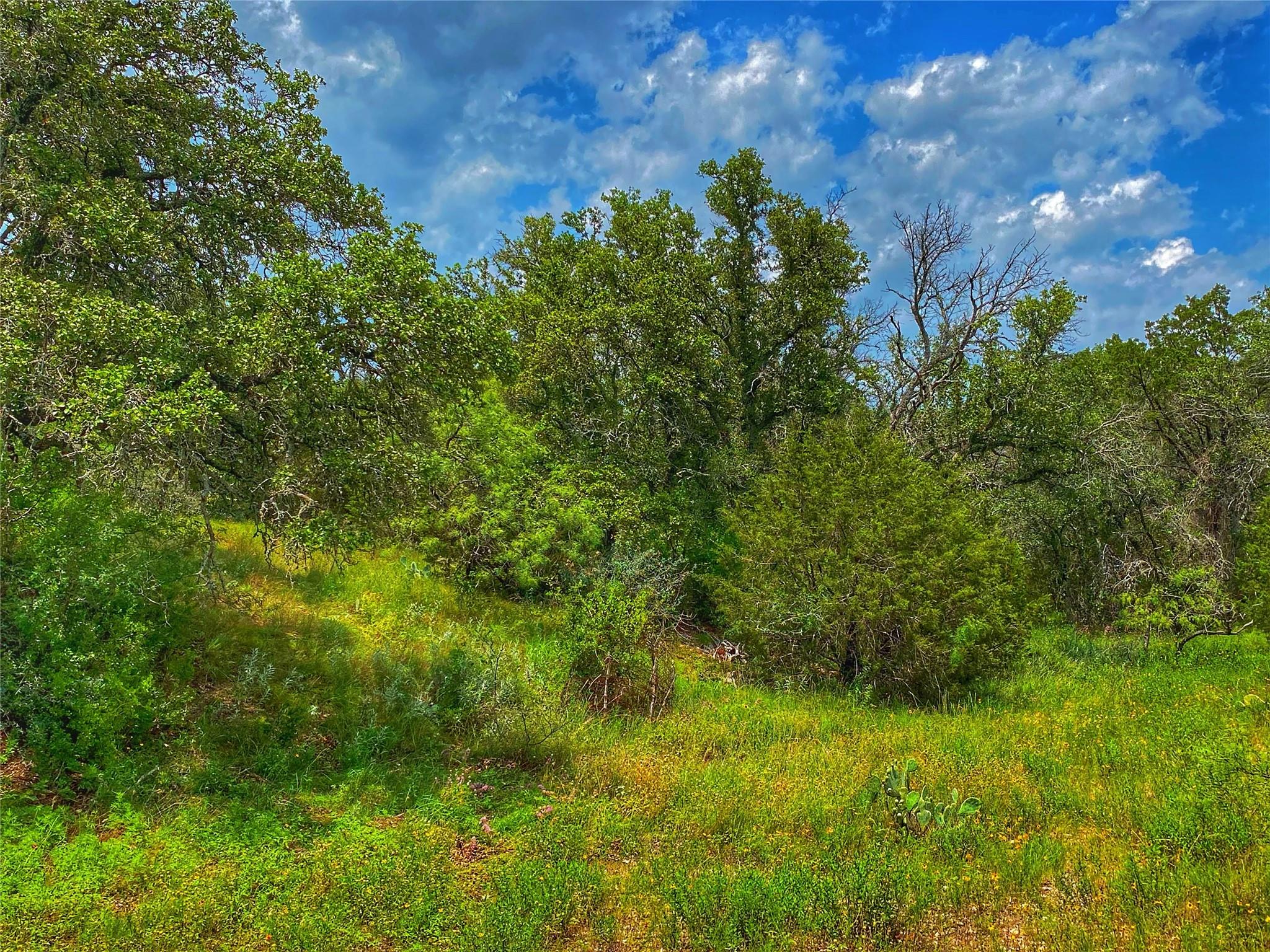 0000 CR 436, Rochelle, TX 76872