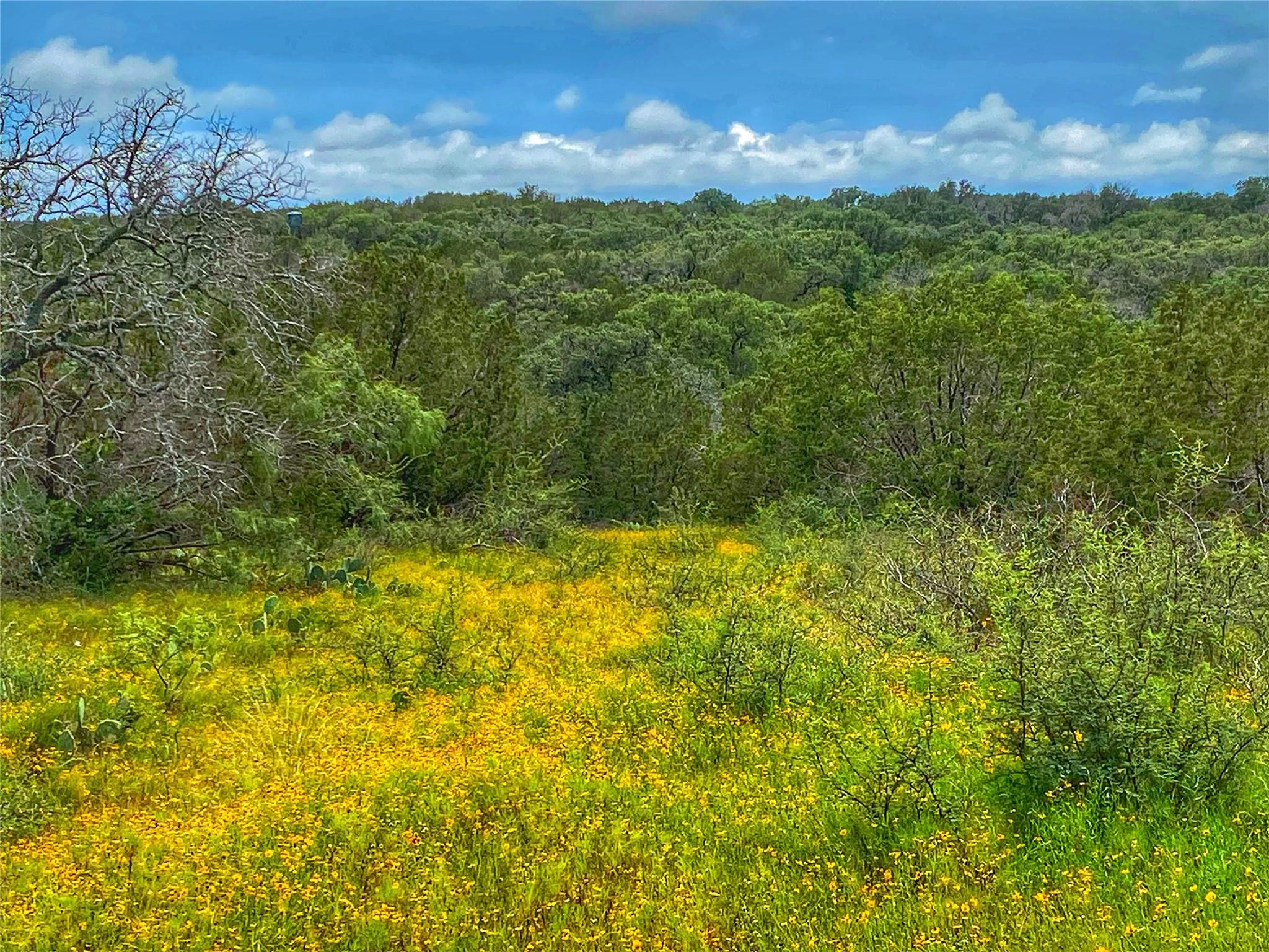 0000 CR 436, Rochelle, TX 76872