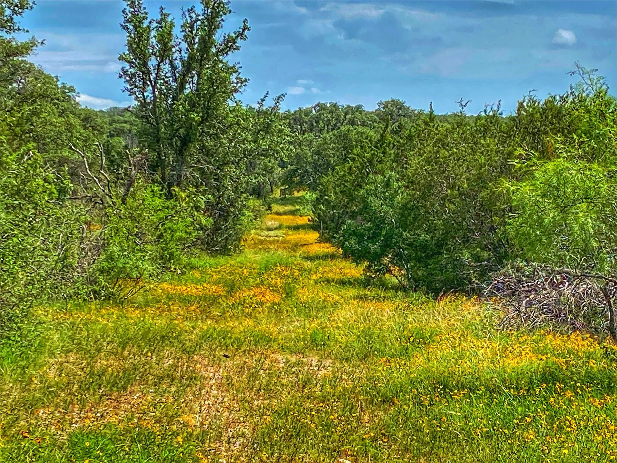 0000 CR 436, Rochelle, TX 76872