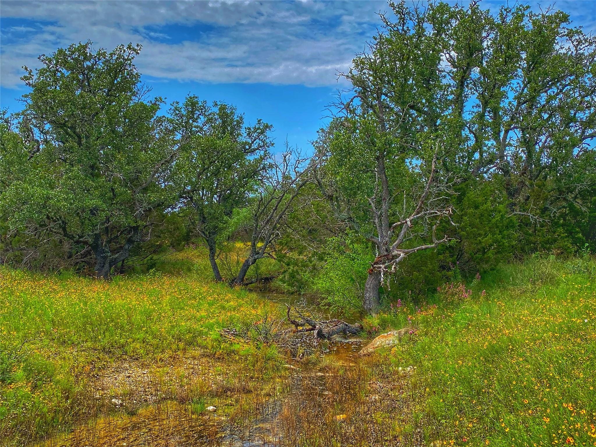 0000 CR 436, Rochelle, TX 76872