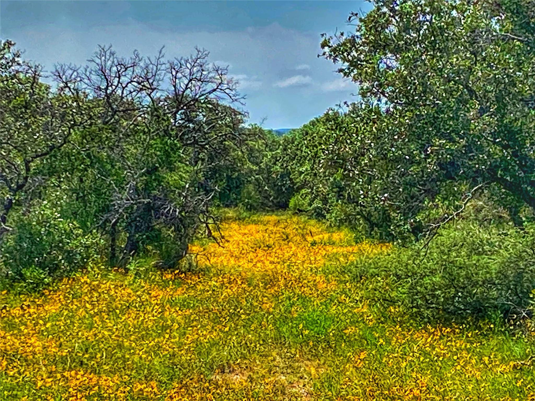 0000 CR 436, Rochelle, TX 76872