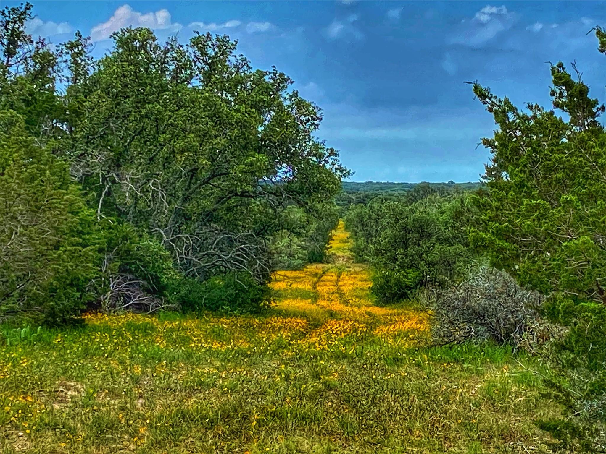 0000 CR 436, Rochelle, TX 76872