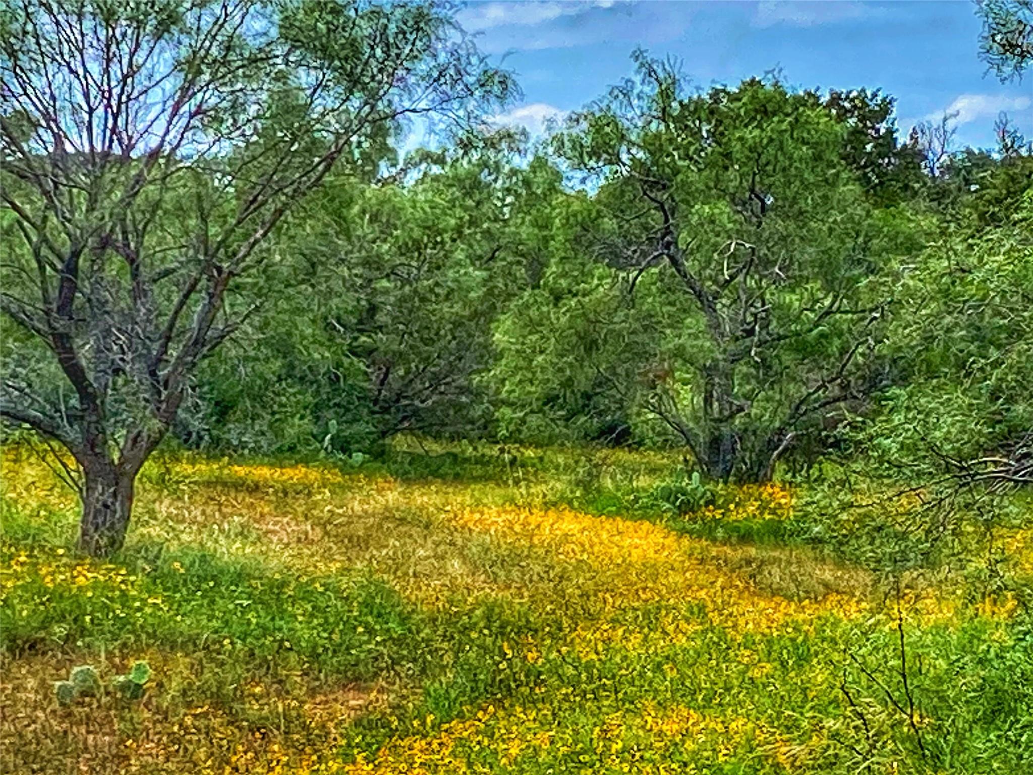 0000 CR 436, Rochelle, TX 76872