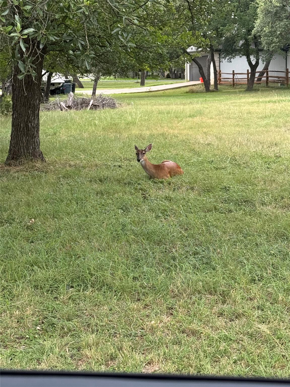 210 Buoy Cir, Georgetown, TX 78633