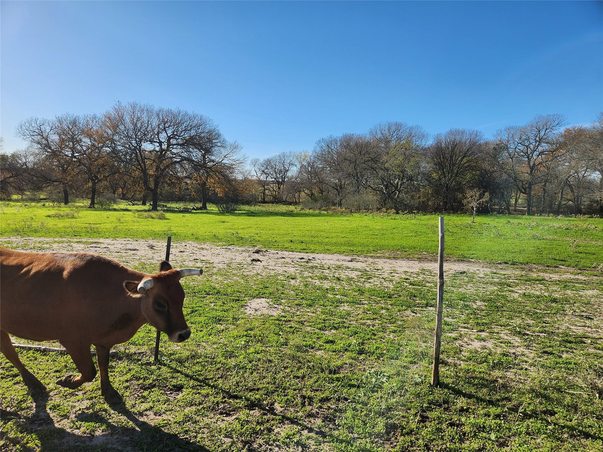 1333 County Road 414 Rd, Buckholts, TX 76518