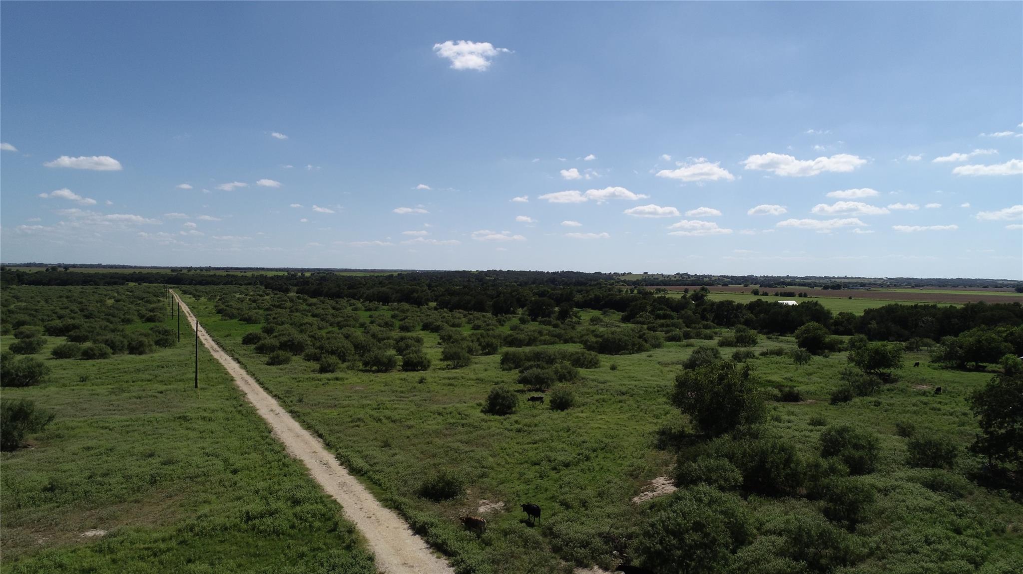 1333 County Road 414 Rd, Buckholts, TX 76518
