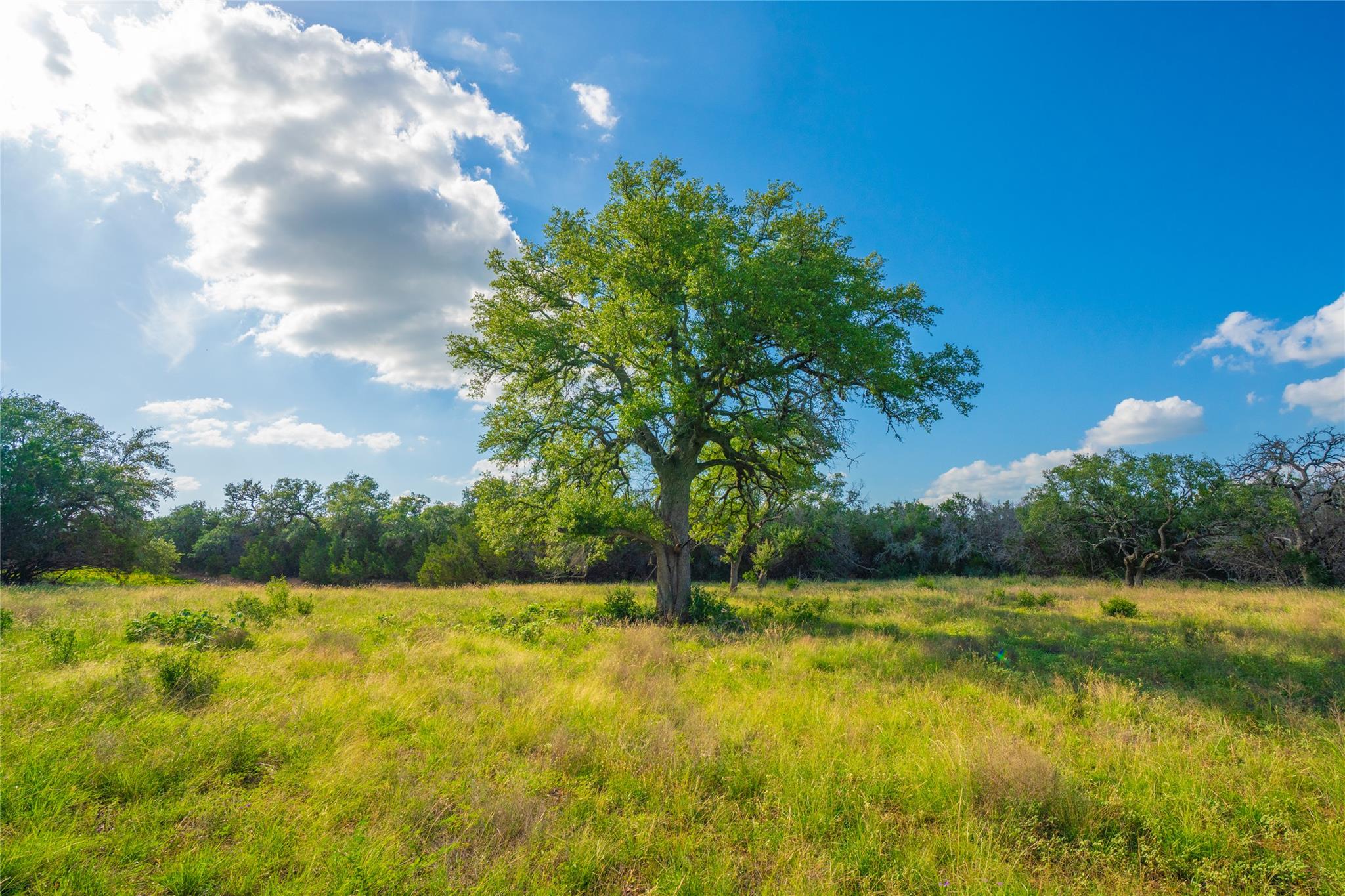 000 Heritage Hollow Rnch, Johnson City, TX 78636