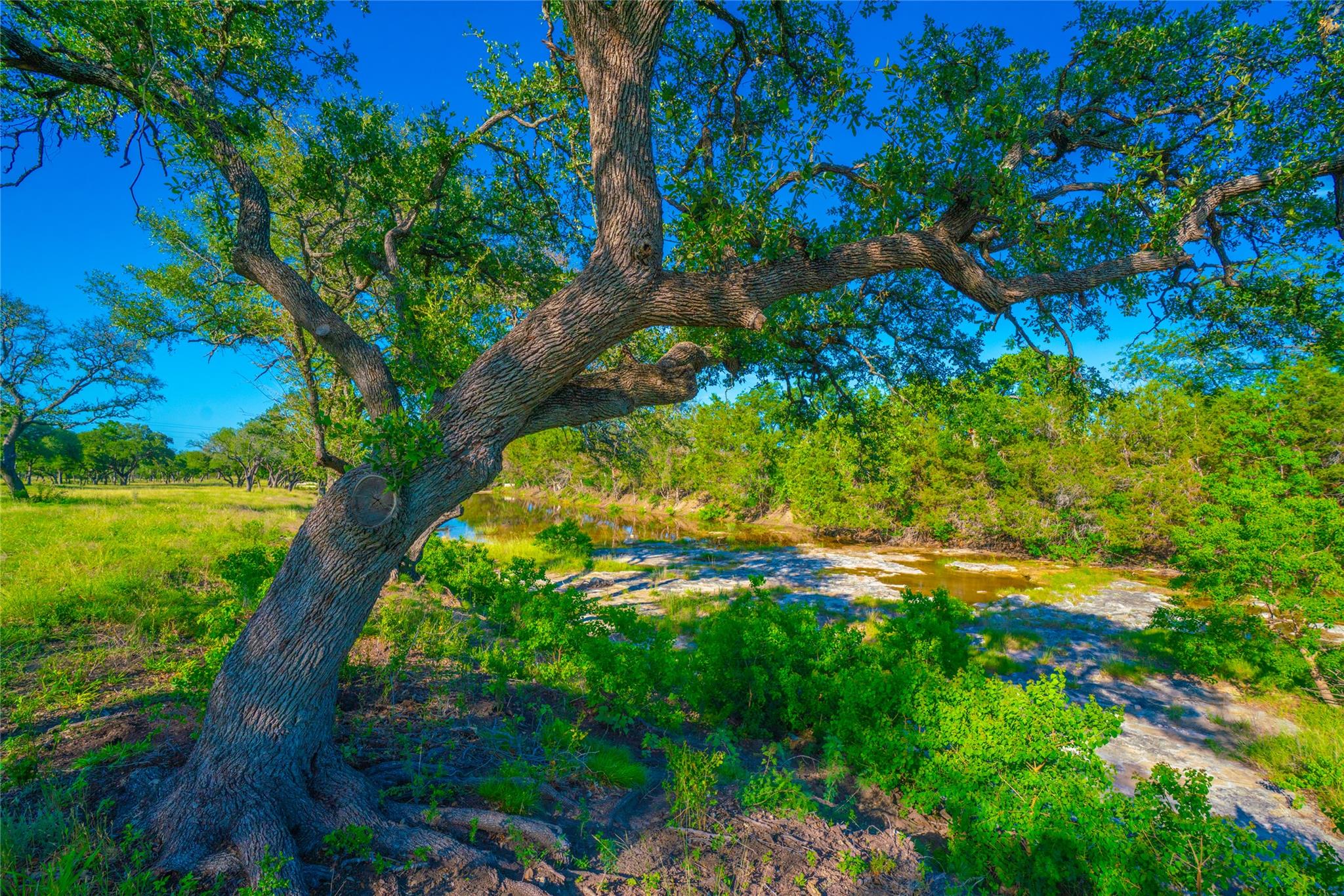 000 Rocky Creek Rnch, Johnson City, TX 78636