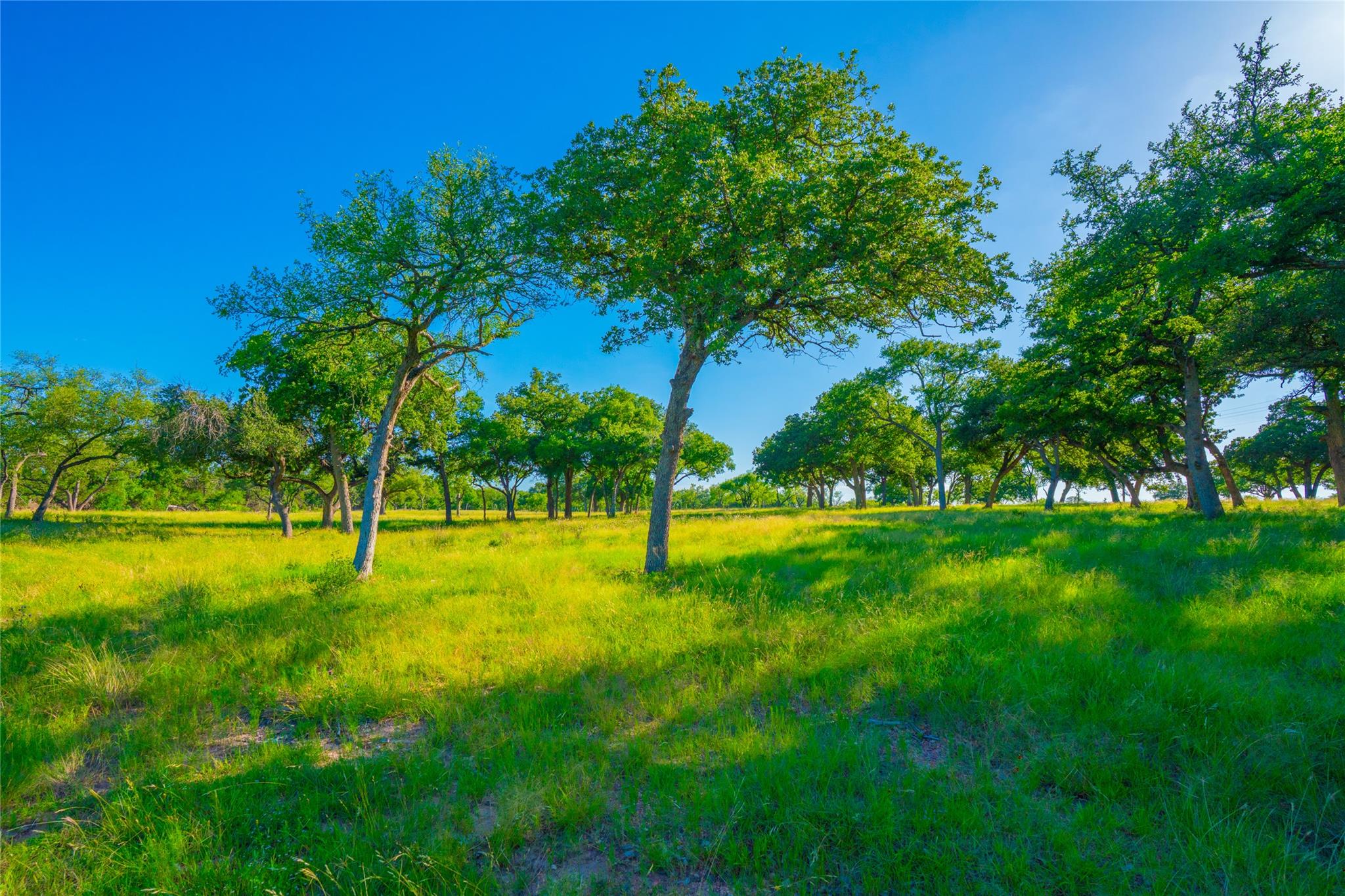 000 Rocky Creek Rnch, Johnson City, TX 78636