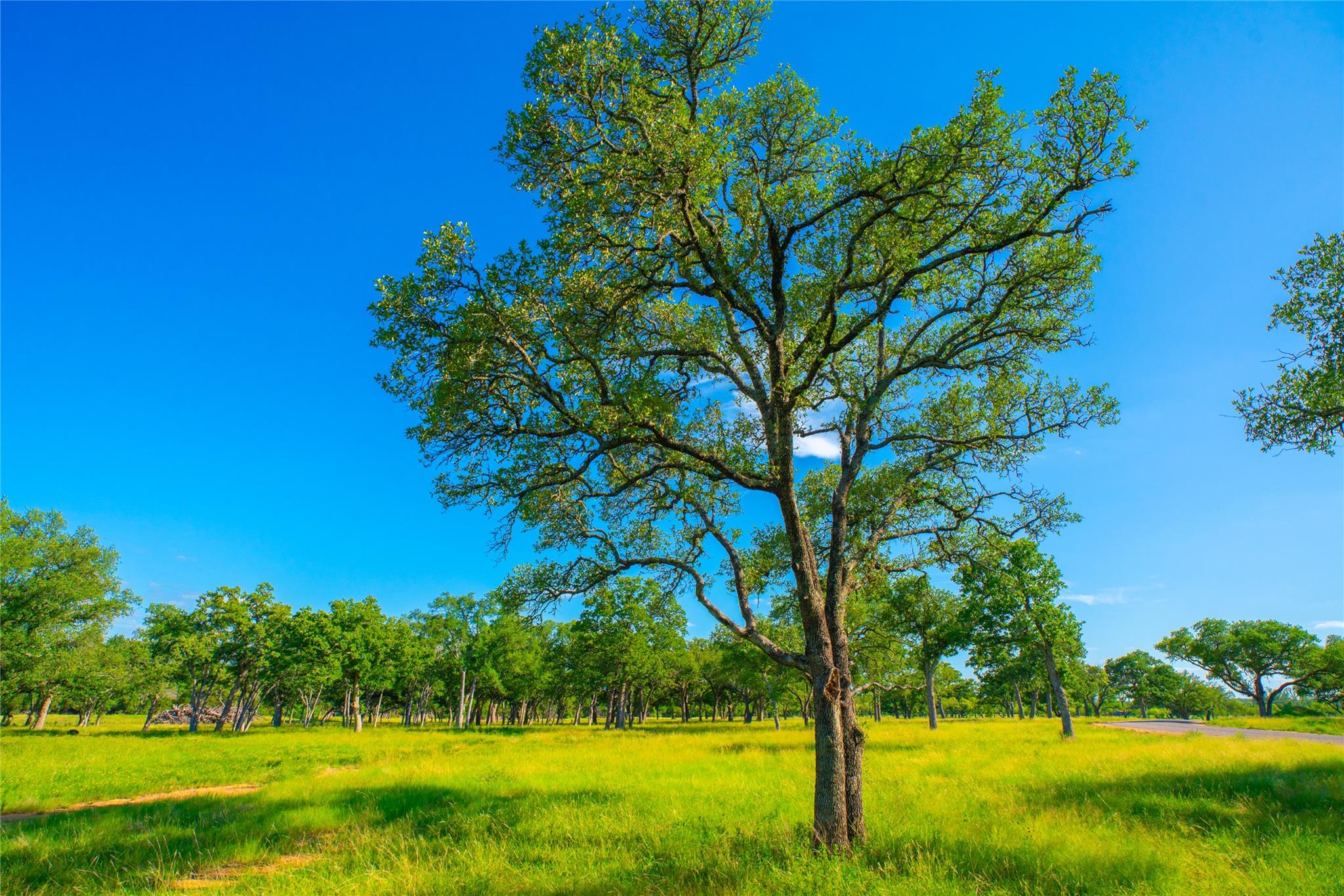 000 Rocky Creek Rnch, Johnson City, TX 78636