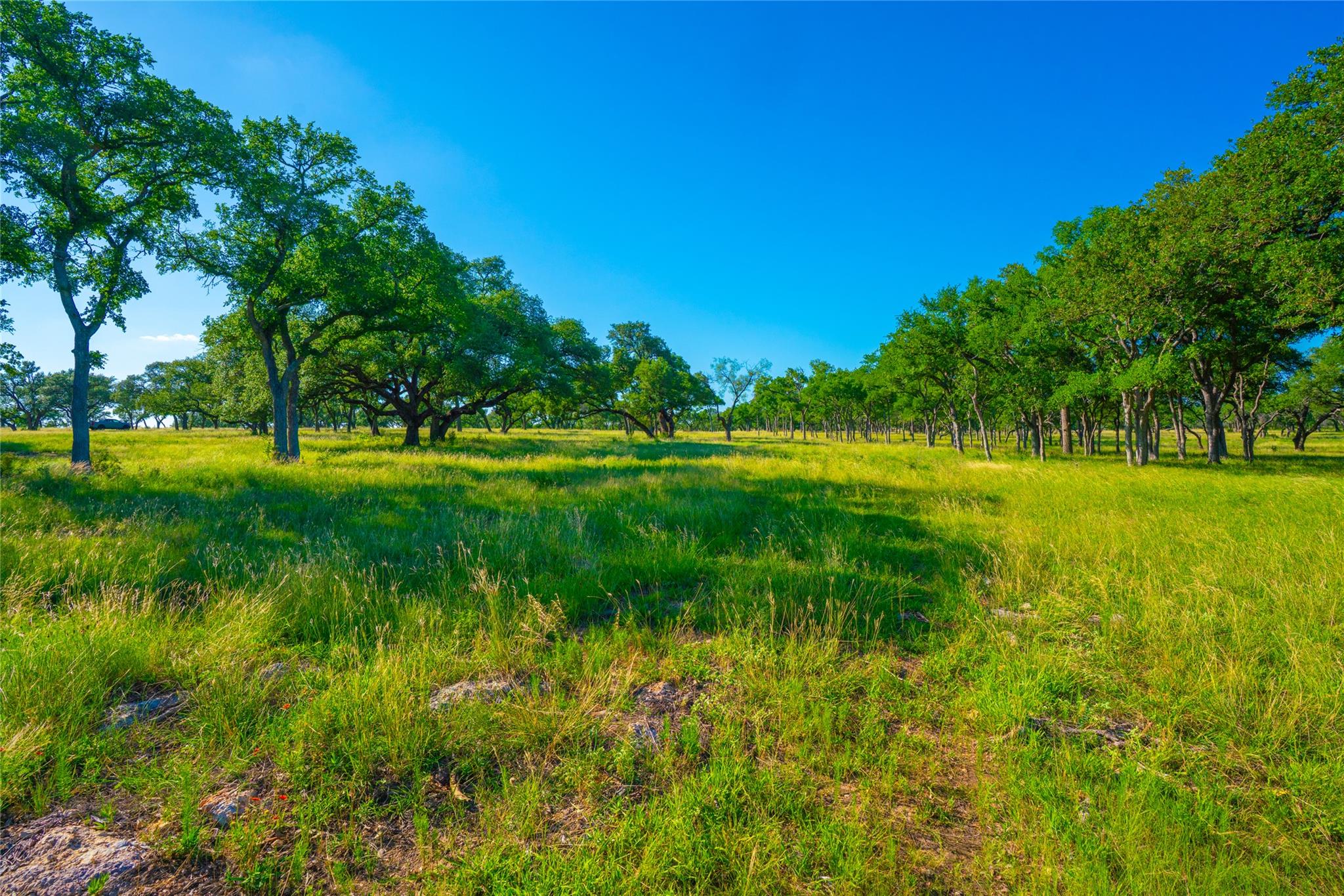 000 Rocky Creek Rnch, Johnson City, TX 78636