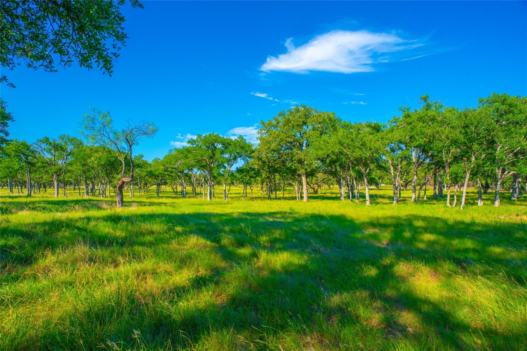 000 Rocky Creek Rnch, Johnson City, TX 78636