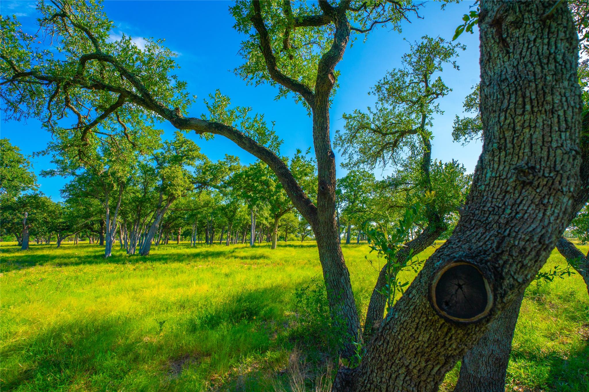 000 Rocky Creek Rnch, Johnson City, TX 78636