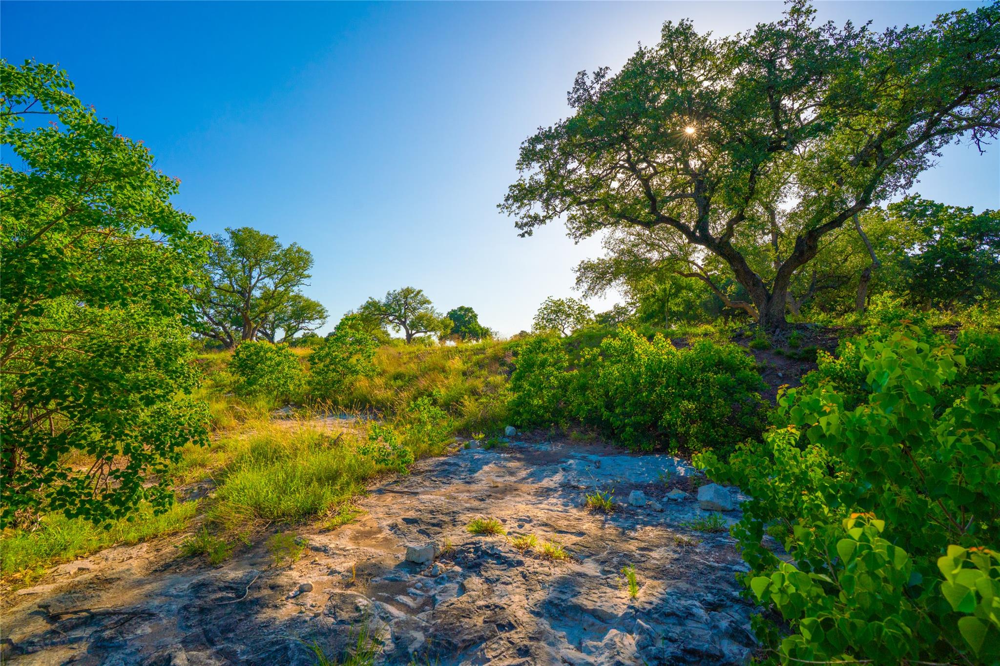 000 Rocky Creek Rnch, Johnson City, TX 78636