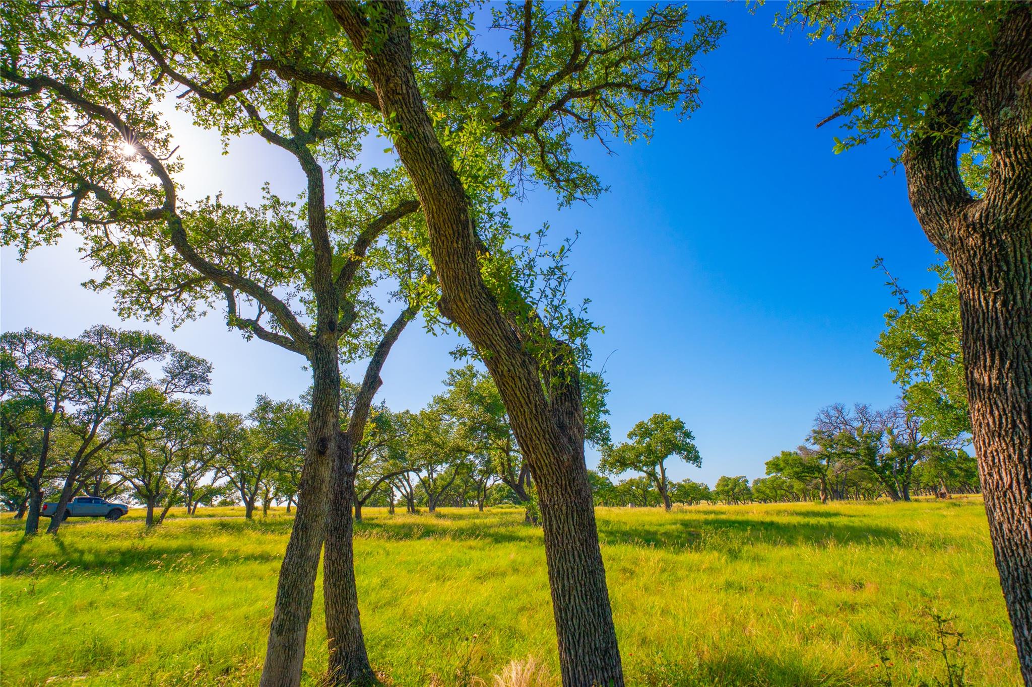 000 Rocky Creek Rnch, Johnson City, TX 78636