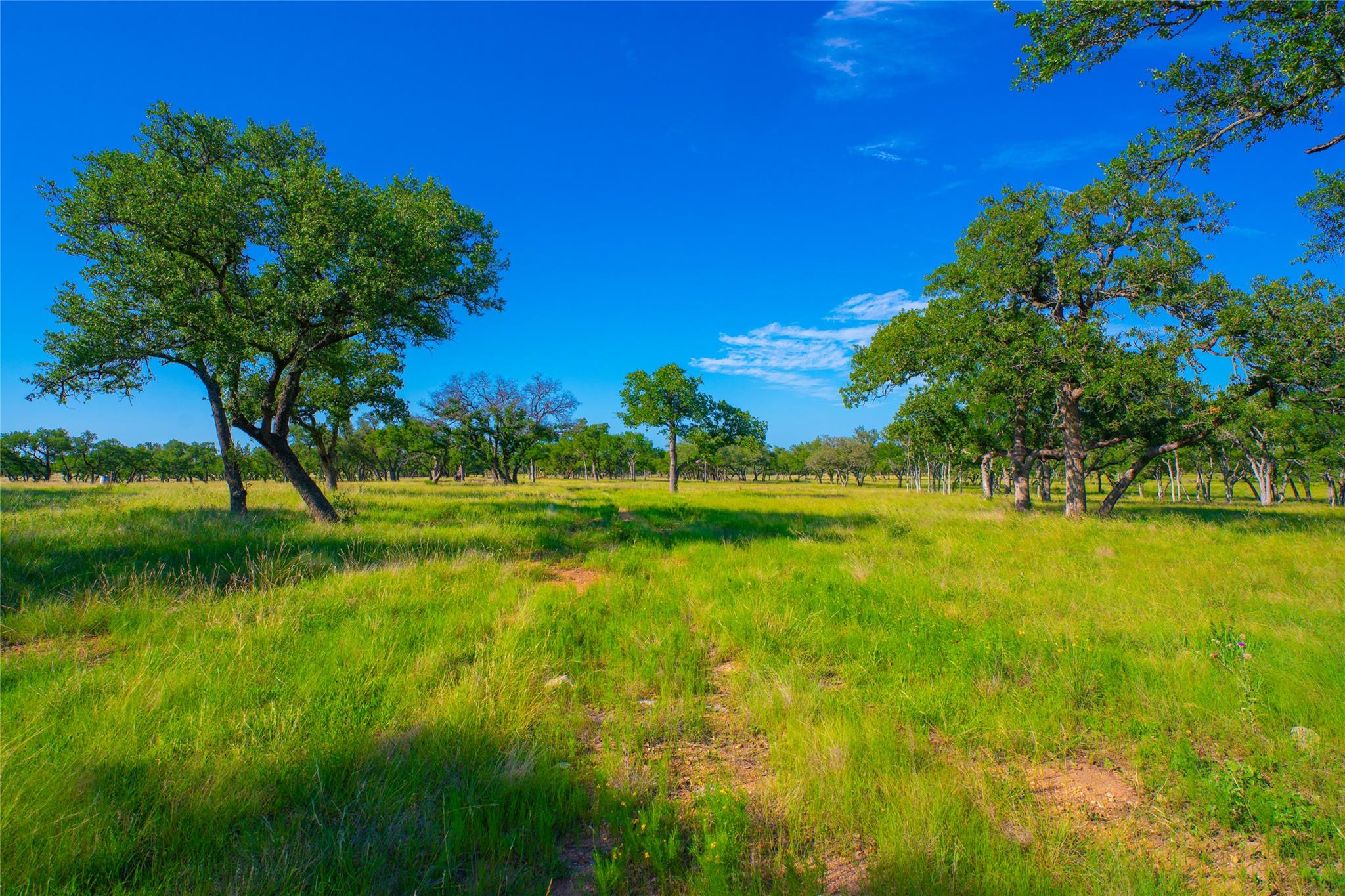 000 Rocky Creek Rnch, Johnson City, TX 78636