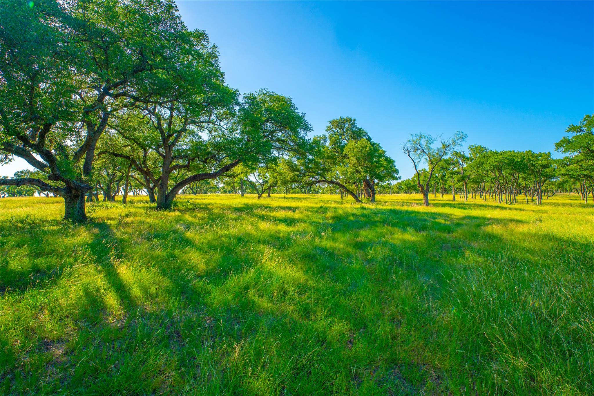 000 Rocky Creek Rnch, Johnson City, TX 78636