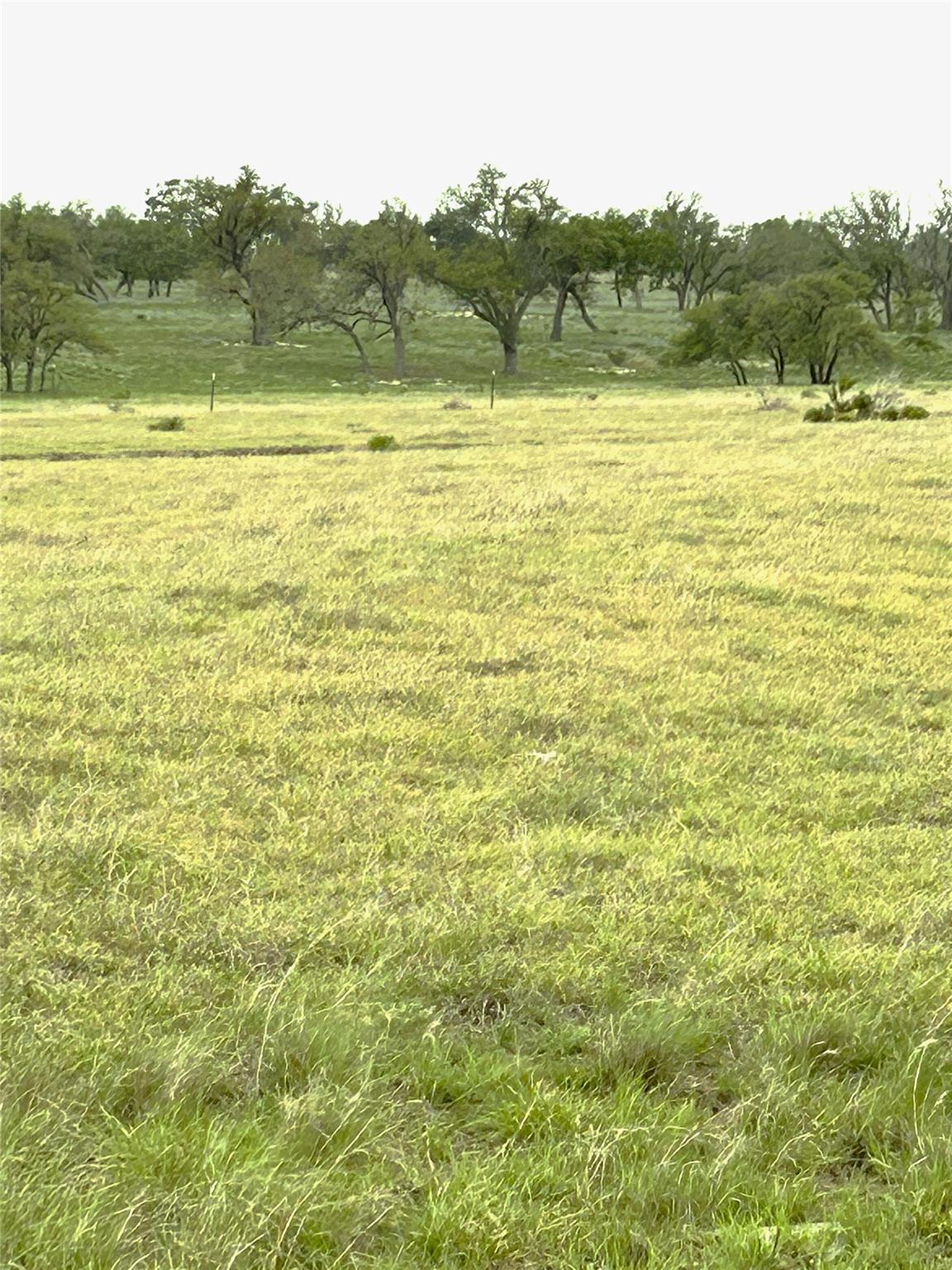 tract 13 Ranch Ed 783 Rds, Harper, TX 78631
