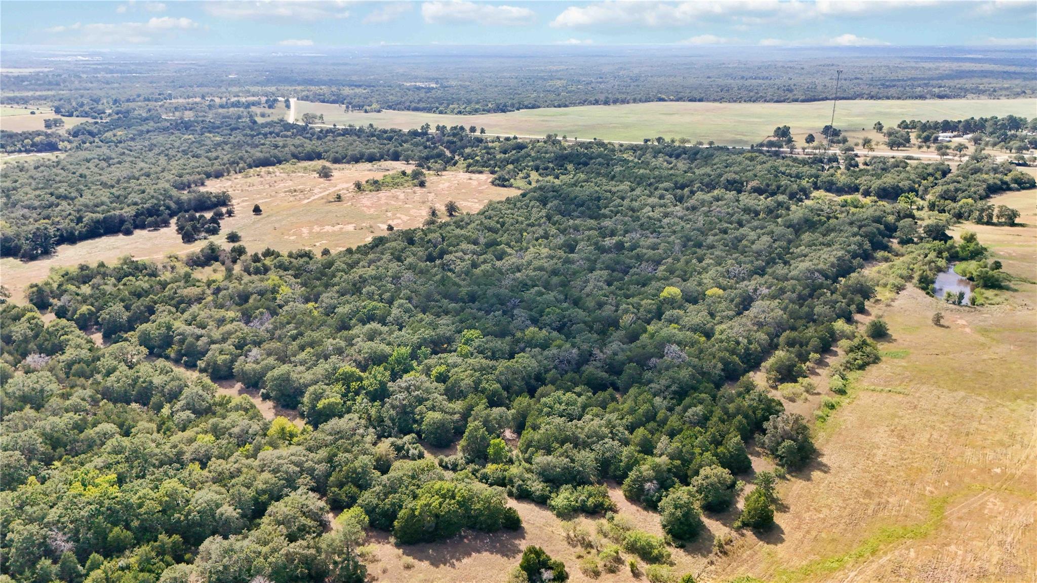 TBD FM 2336, McDade, TX 78650